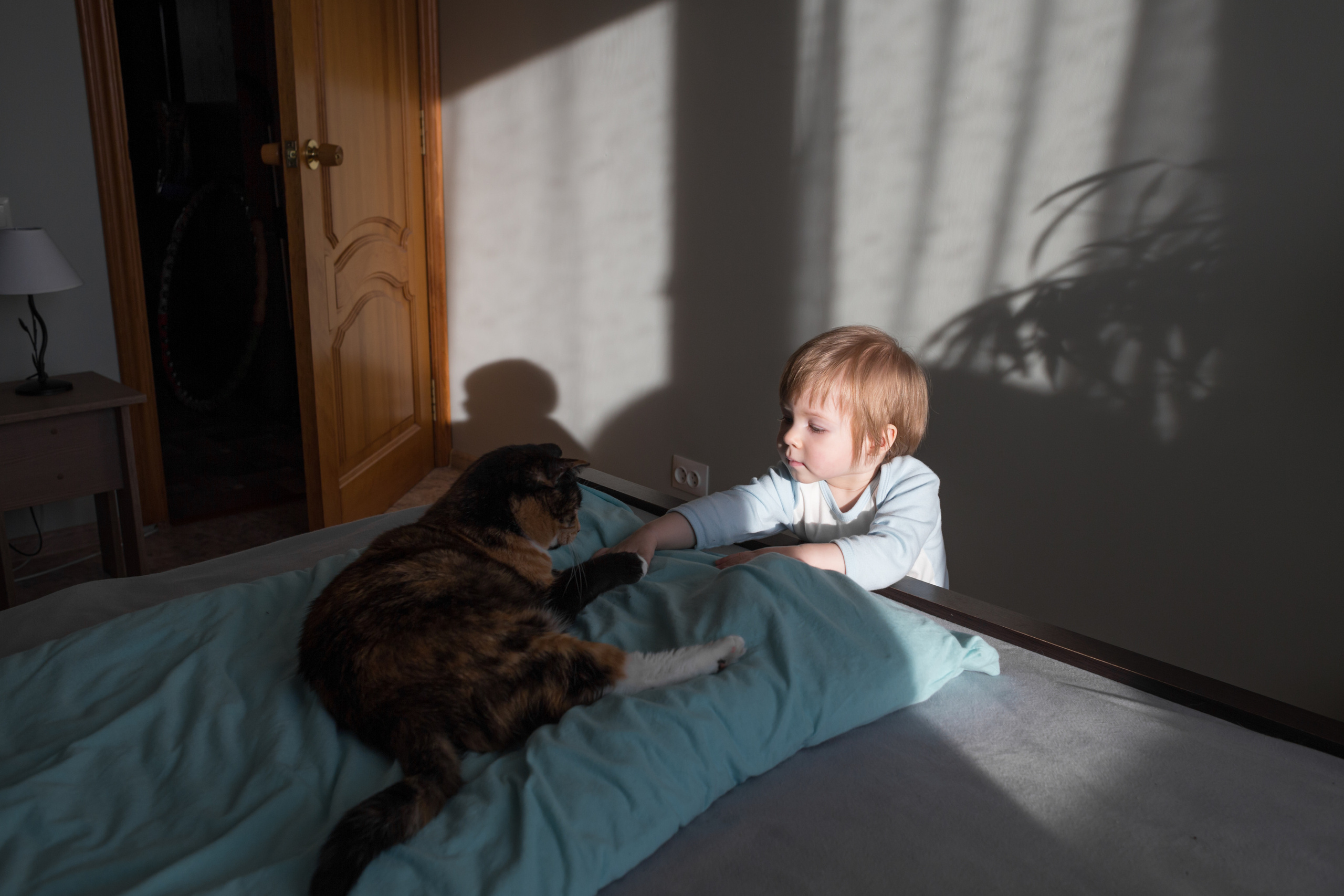 Семейные домашние фотосъемки. Семейный и детский фотограф Тамара Морозова г. Арсеньев