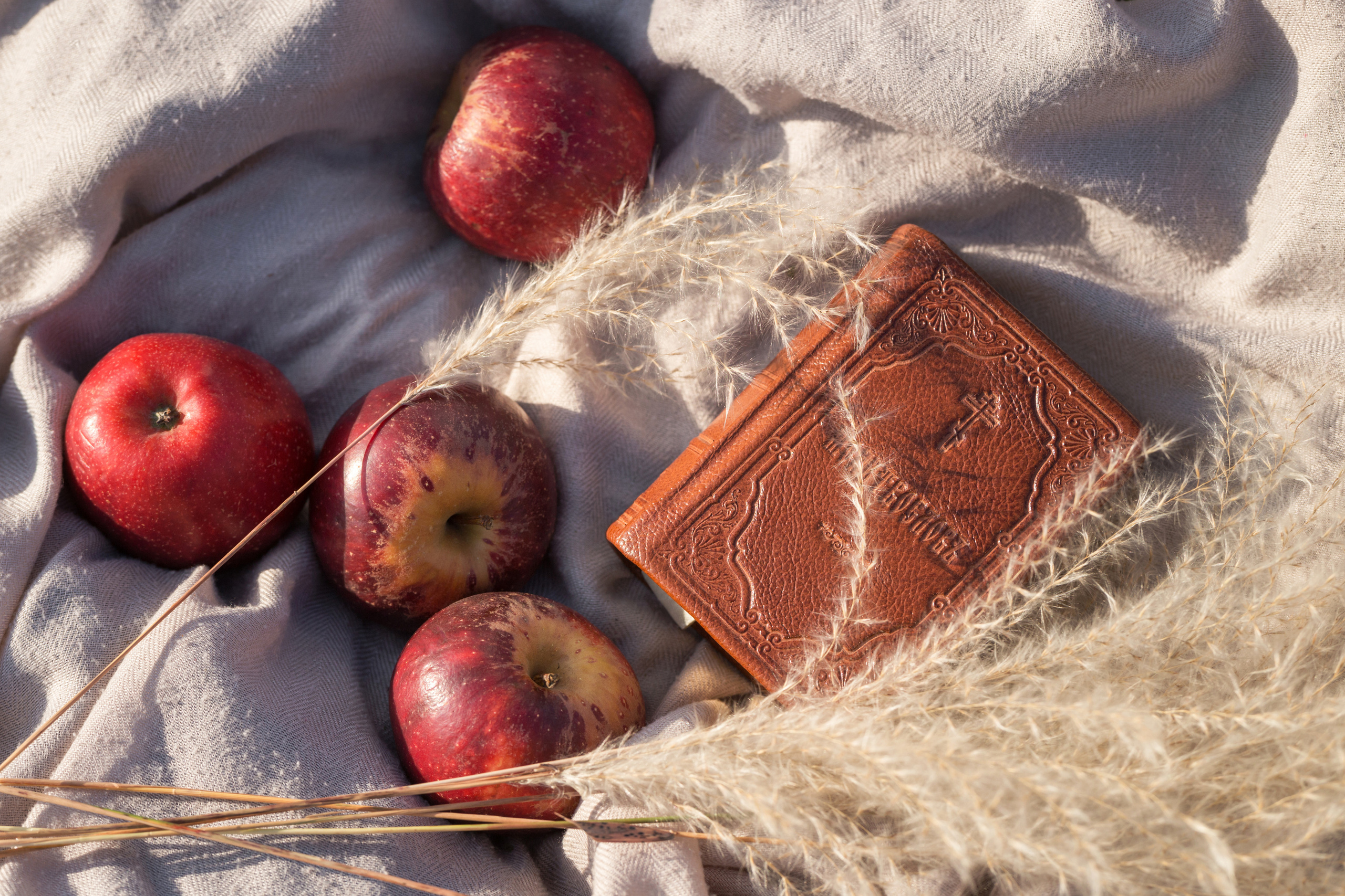 Осенняя прогулка двух любящих сердец. Семейный и детский фотограф Тамара Морозова г. Арсеньев