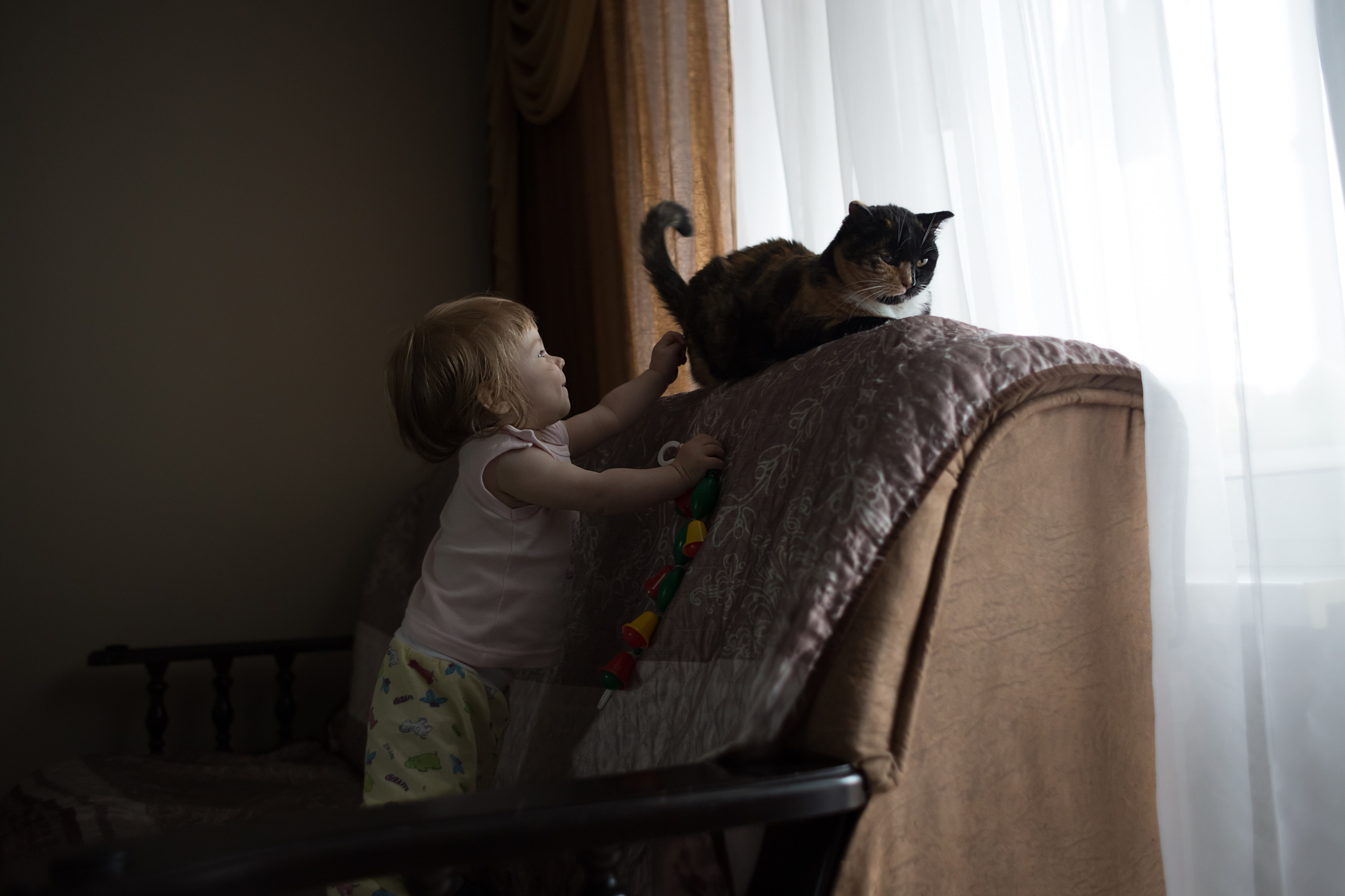 Семейные домашние фотосъемки. Семейный и детский фотограф Тамара Морозова г. Арсеньев