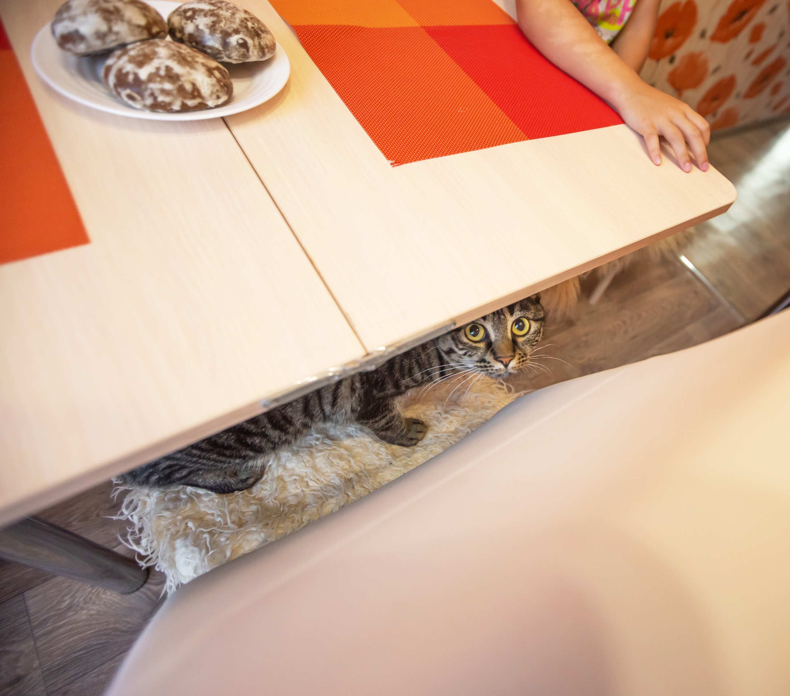 Домашняя атмосфера любви Лены и Даши. Семейный и детский фотограф Тамара Морозова г. Арсеньев