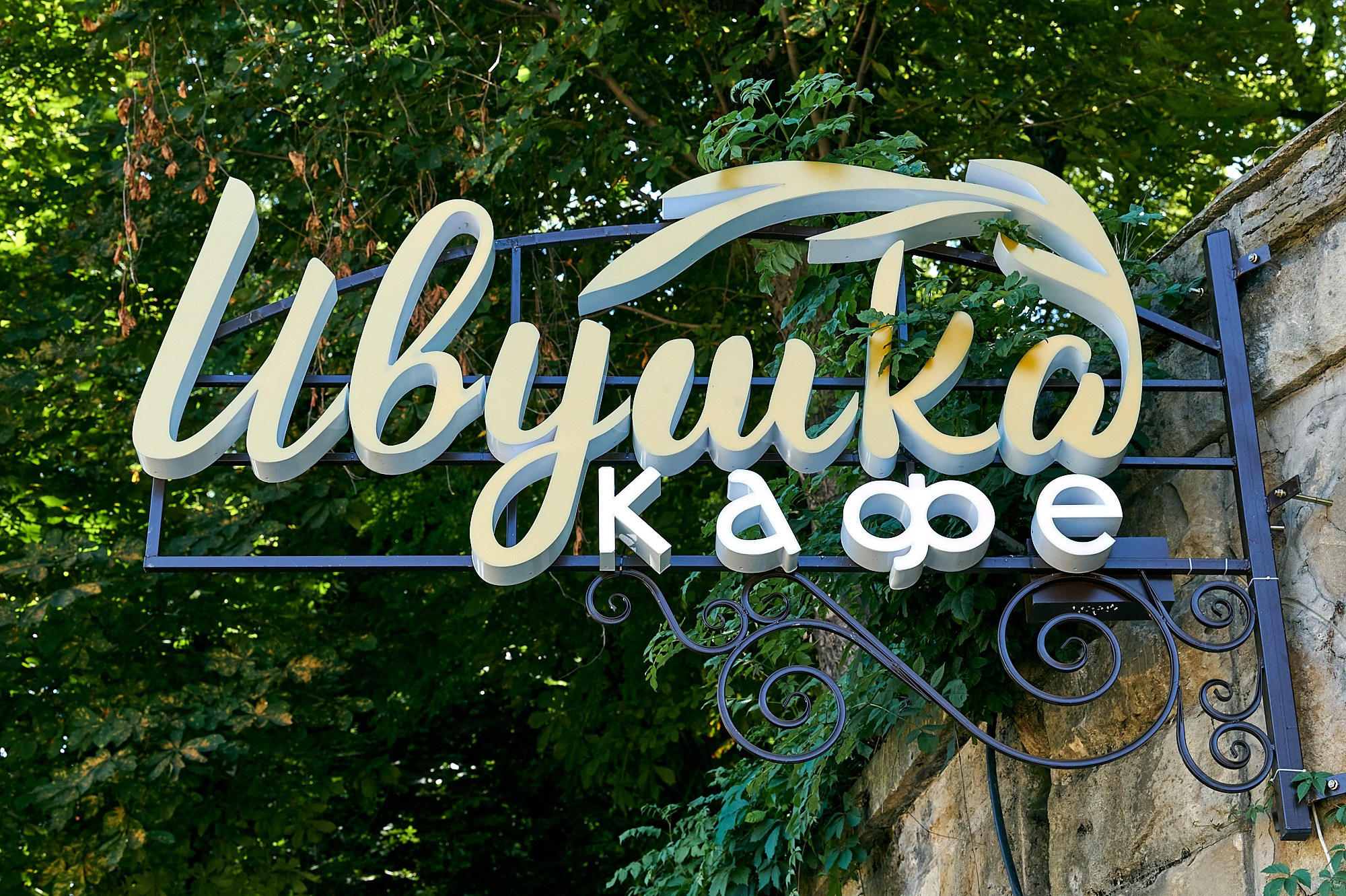 Кисловодск, Россия. Август 2024. Фотографии отовсюду и обо всем