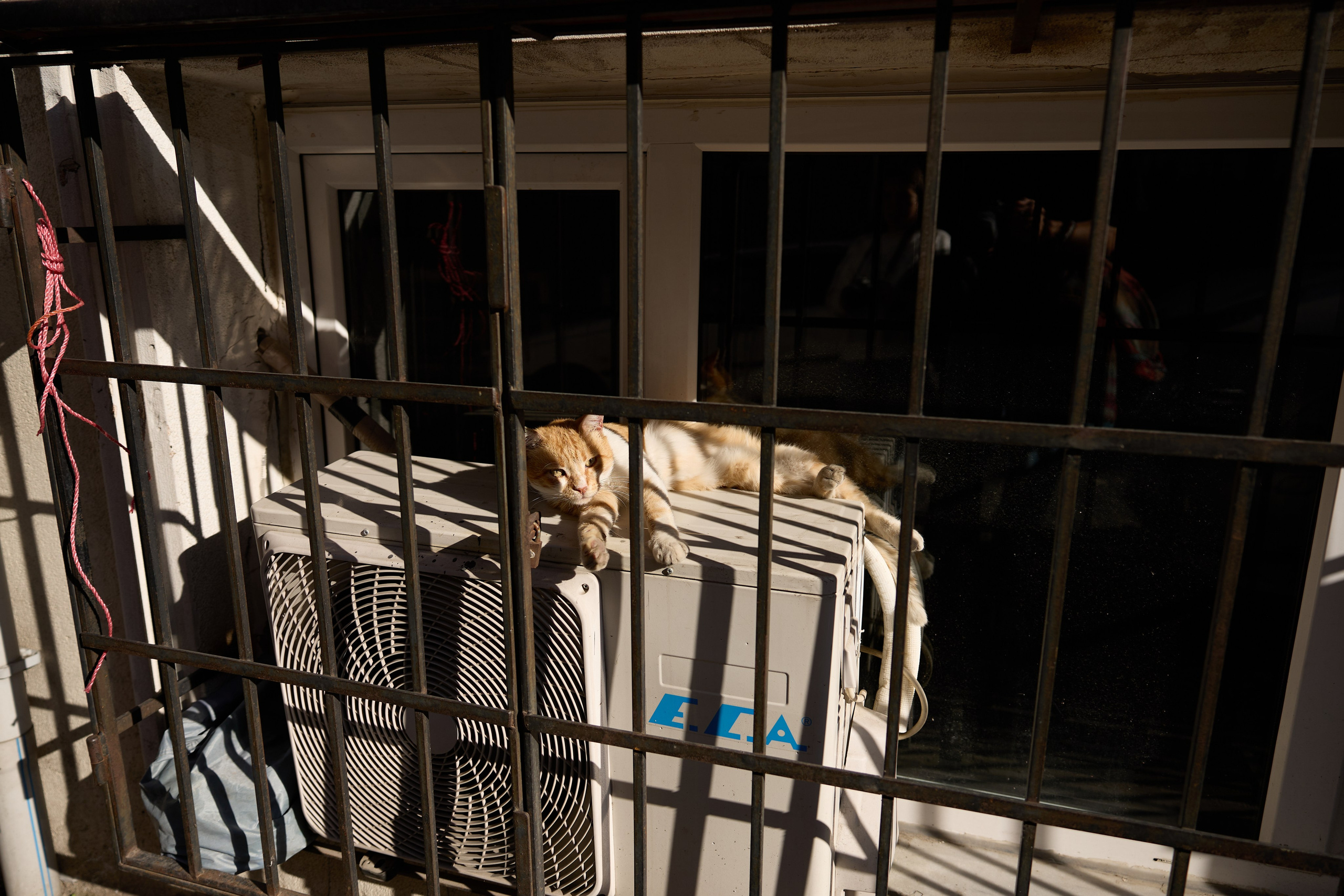 Стамбул 24. Фотограф Москва, Дима Пеллер