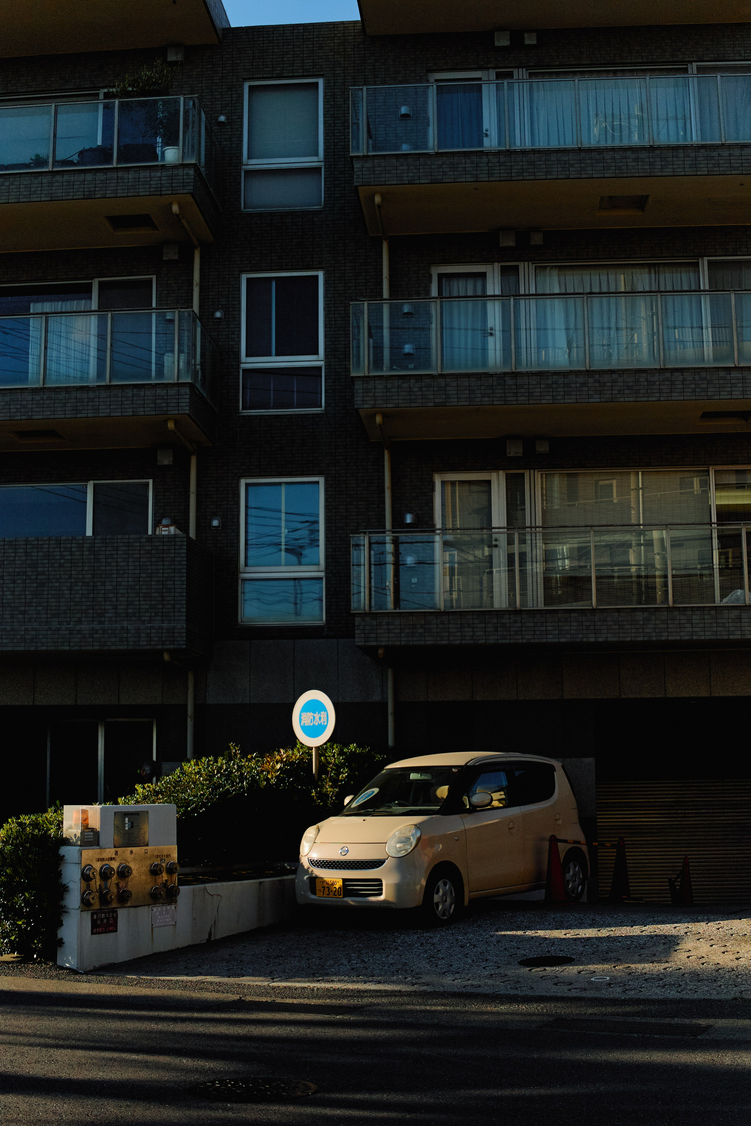 Япония. Профессиональный Фотограф во Владимире, в Москве и в Суздале — Полина Романычева