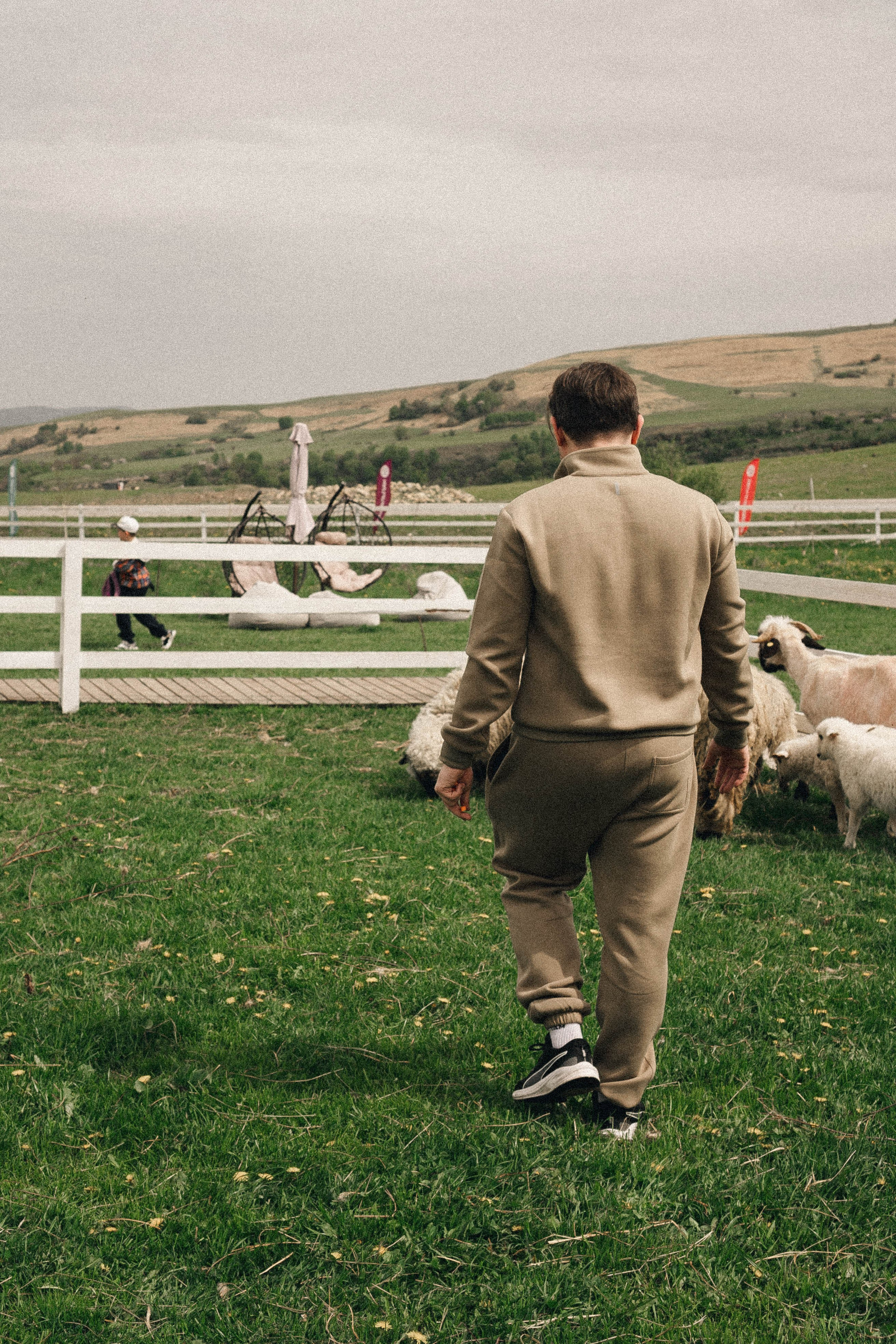 Ферма Альпак. Профессиональный фотограф, Санкт-Петербург — Виктория Богомолова