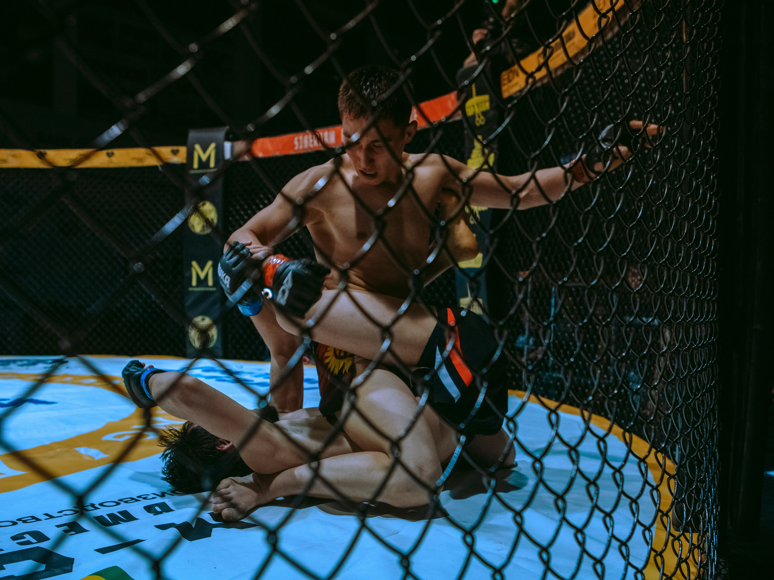 SFL 17 | Siberian Fighting League. Портретный фотограф в Москве Дарья Цезария