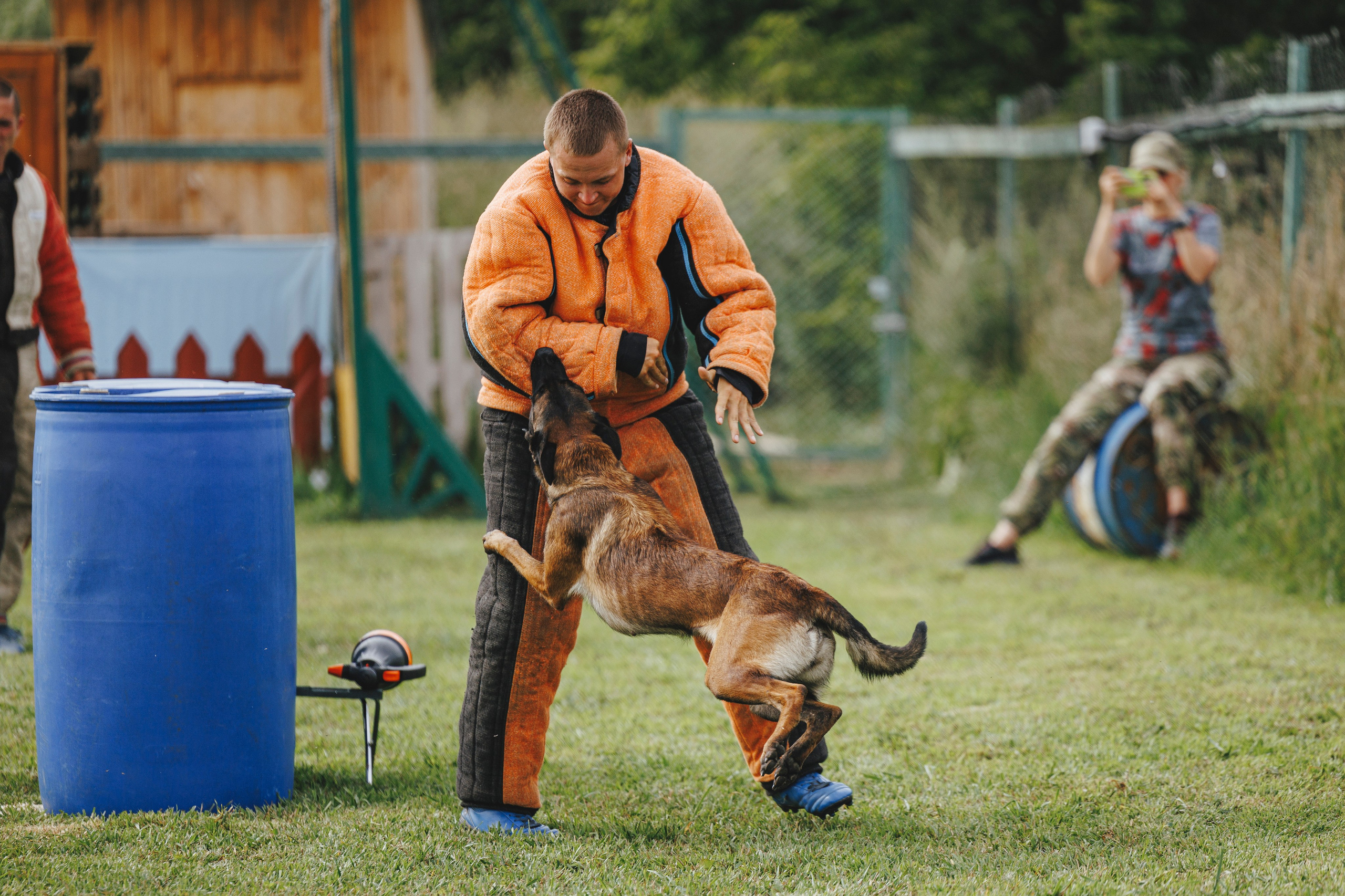 08.08.25-10.08.25 ЧР по мондьорингу г. Вологда. Фотограф-анималист Анна Маринич