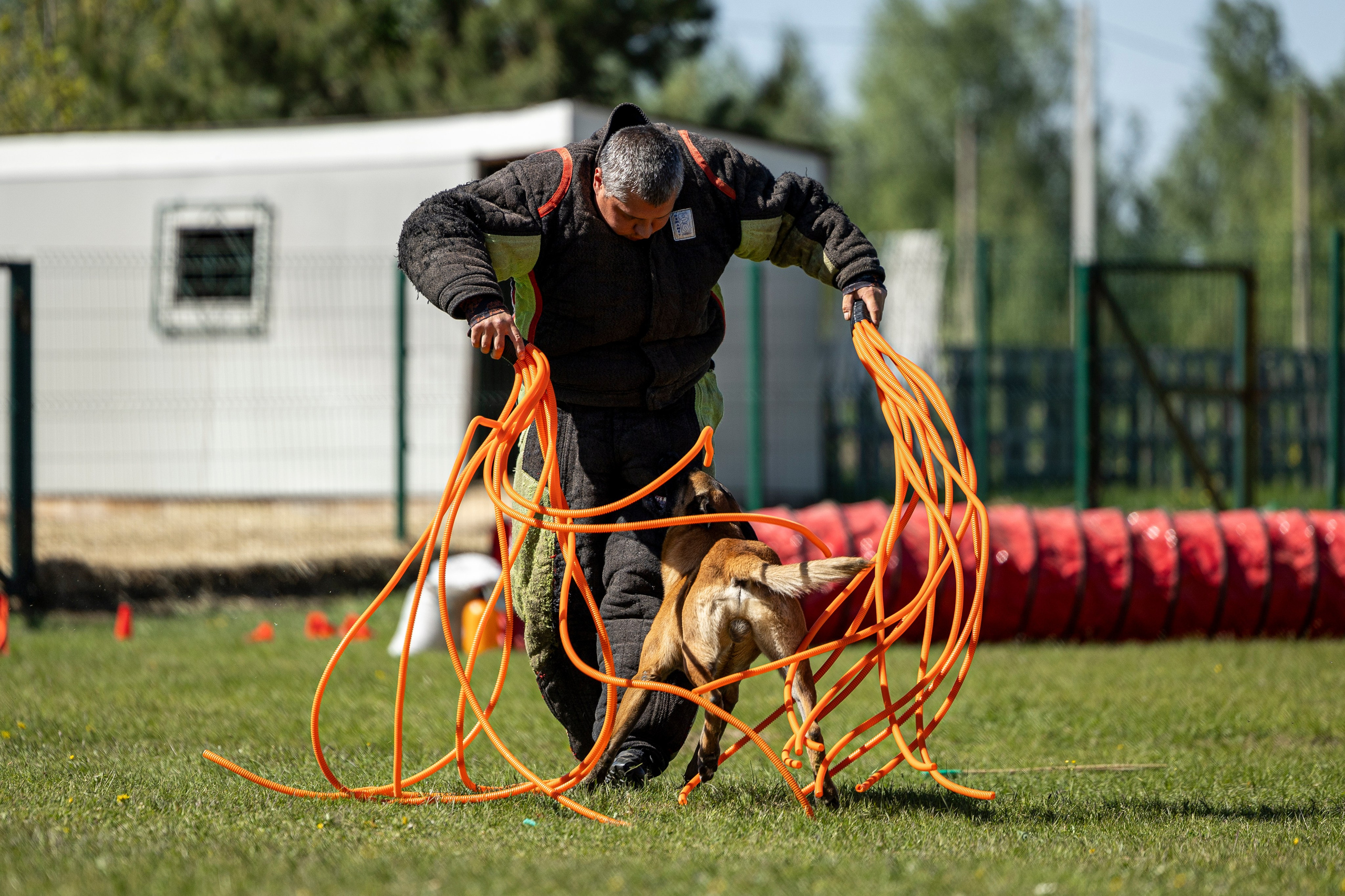 Испытания по мондьорингу в Нижнем Новгороде. Фотограф-анималист Анна Маринич