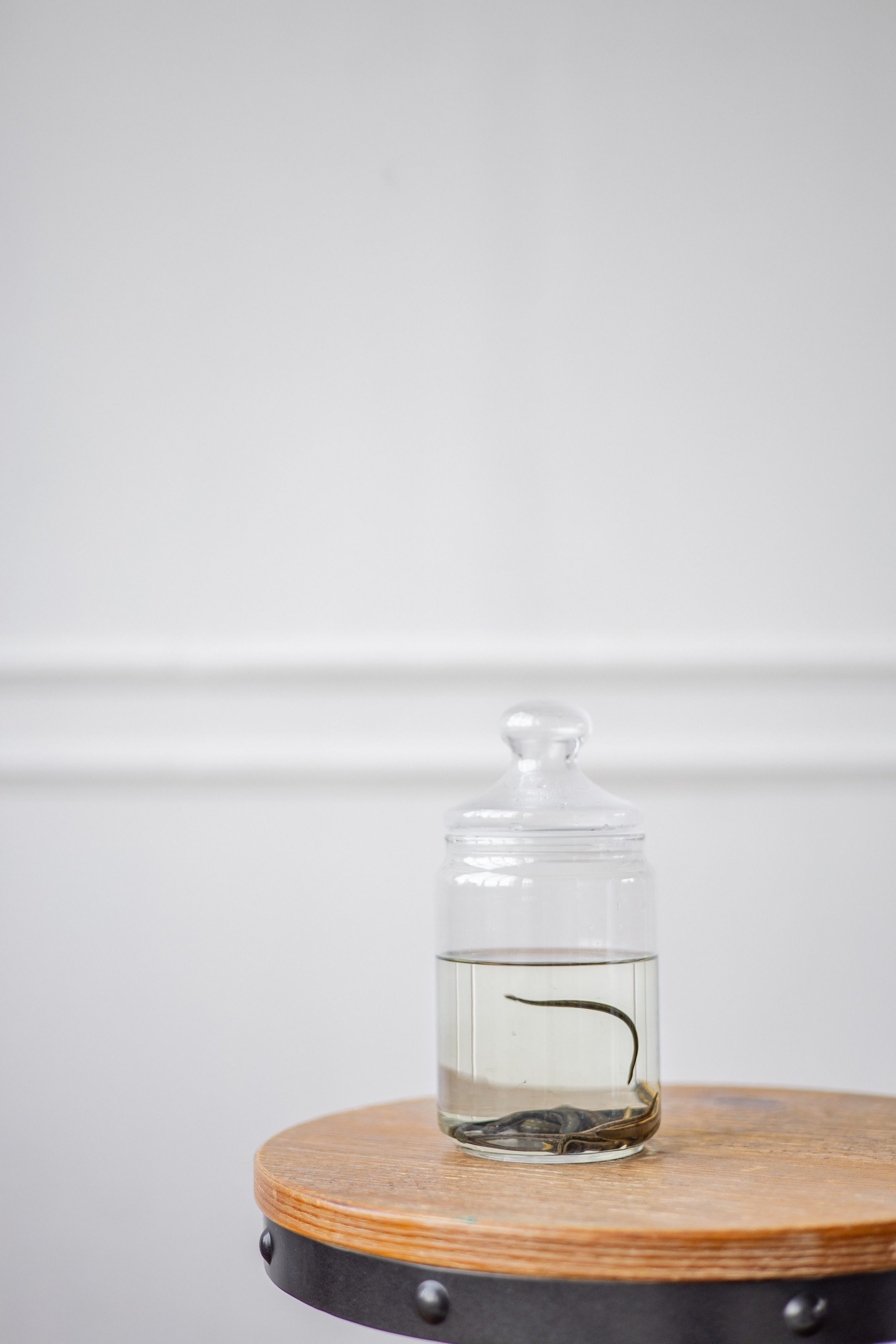 Гирудотерапевт. Фотограф Елена Медок Калининград