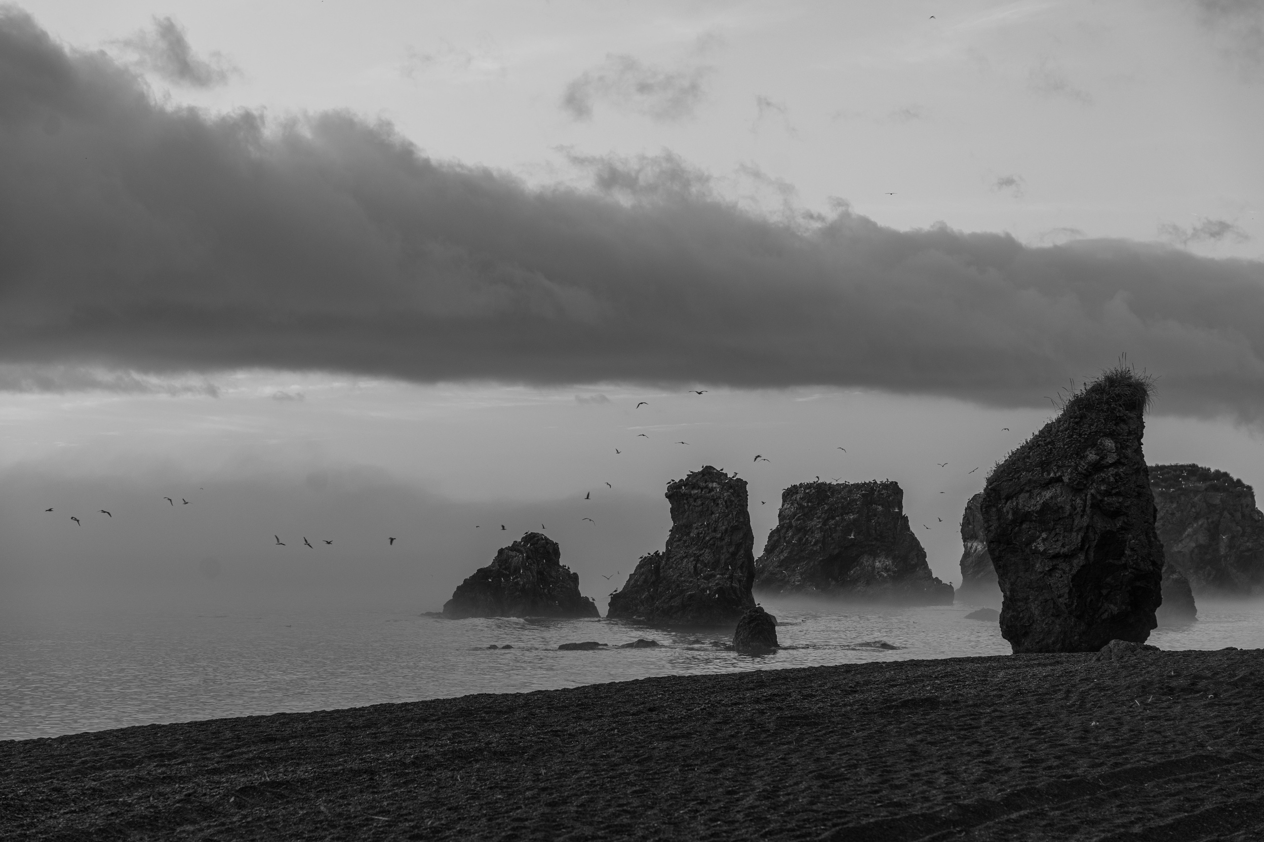 Сахалин 2025. Творческие сьемки