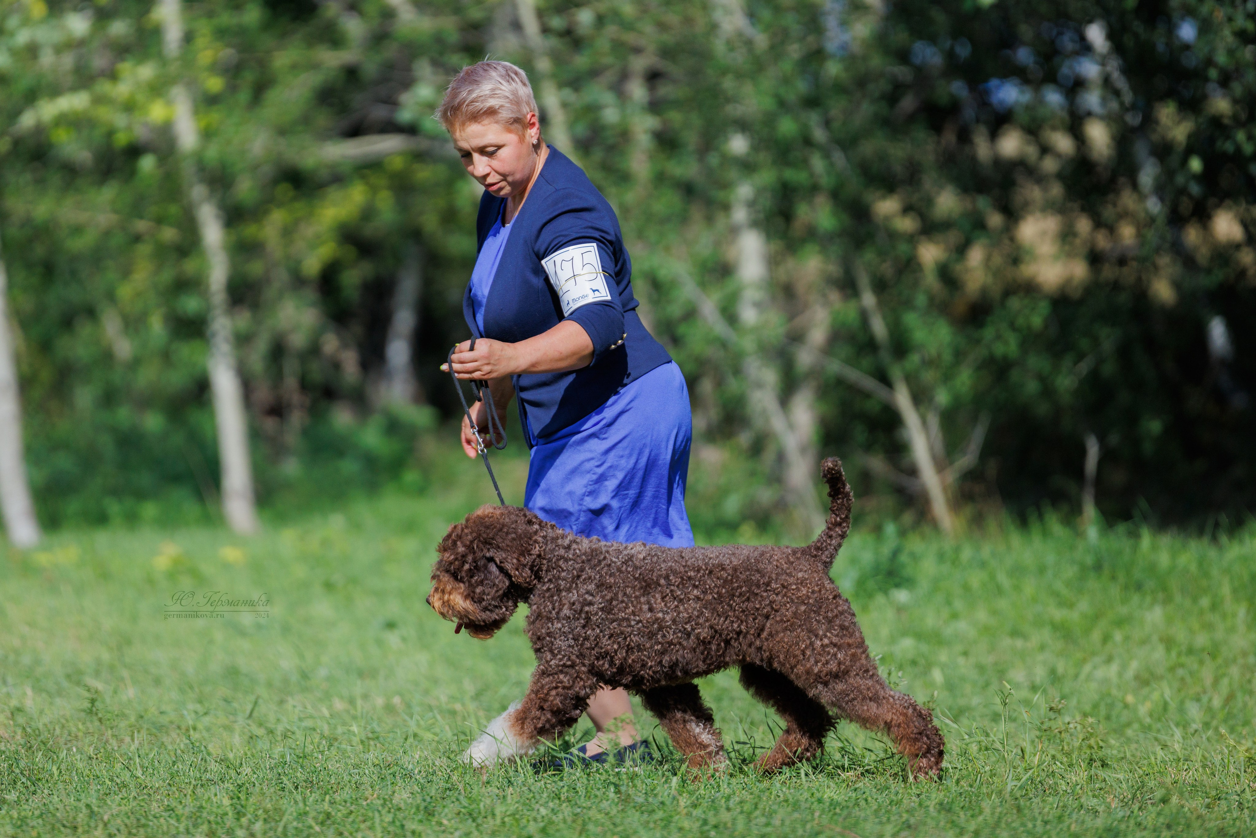 Астана 2хCACIB 17-18.08.2024. Фотограф-анималист Юлия Германика