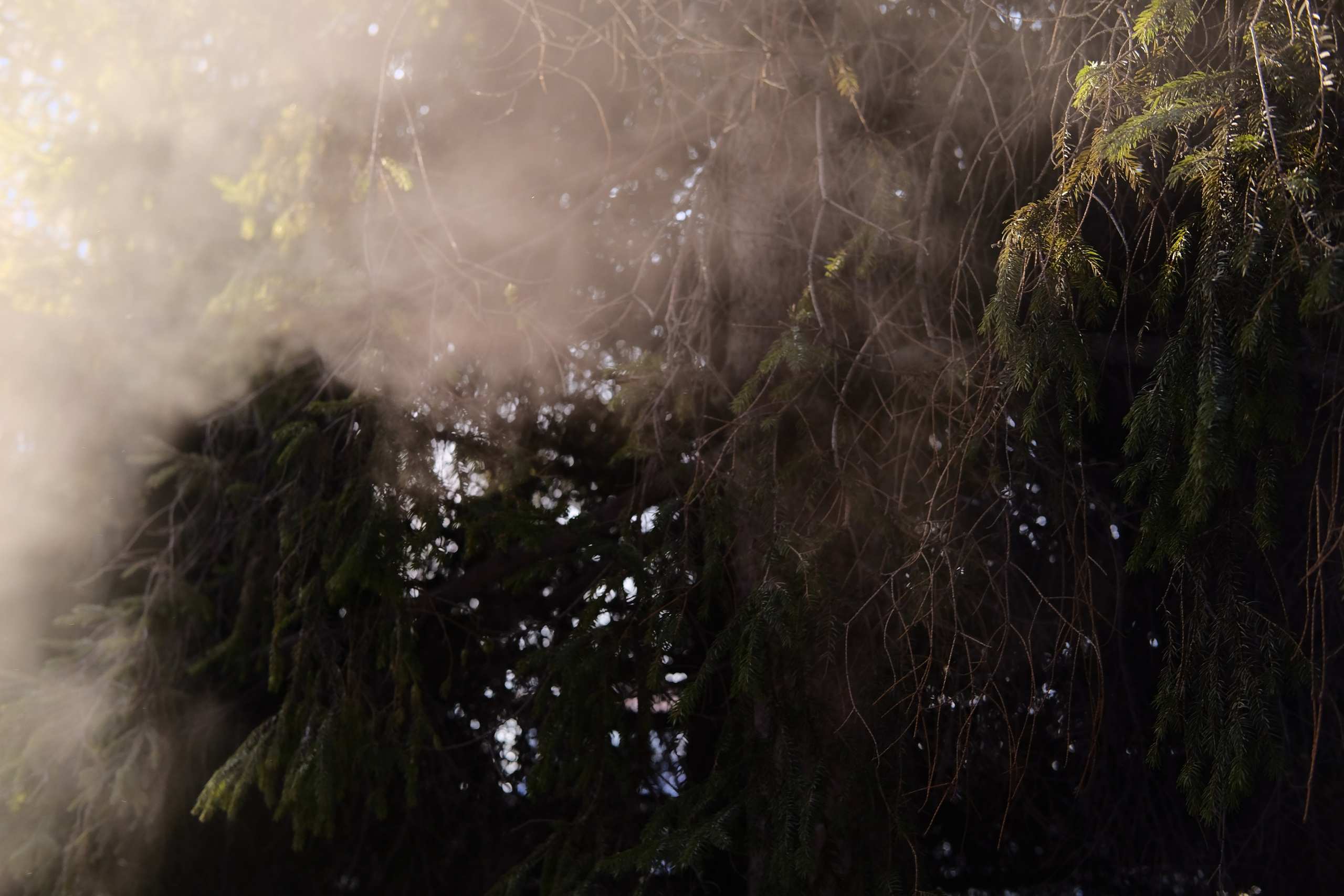 Наблюдения. Семейный фотограф в Новосибирске Артём Кузнецов