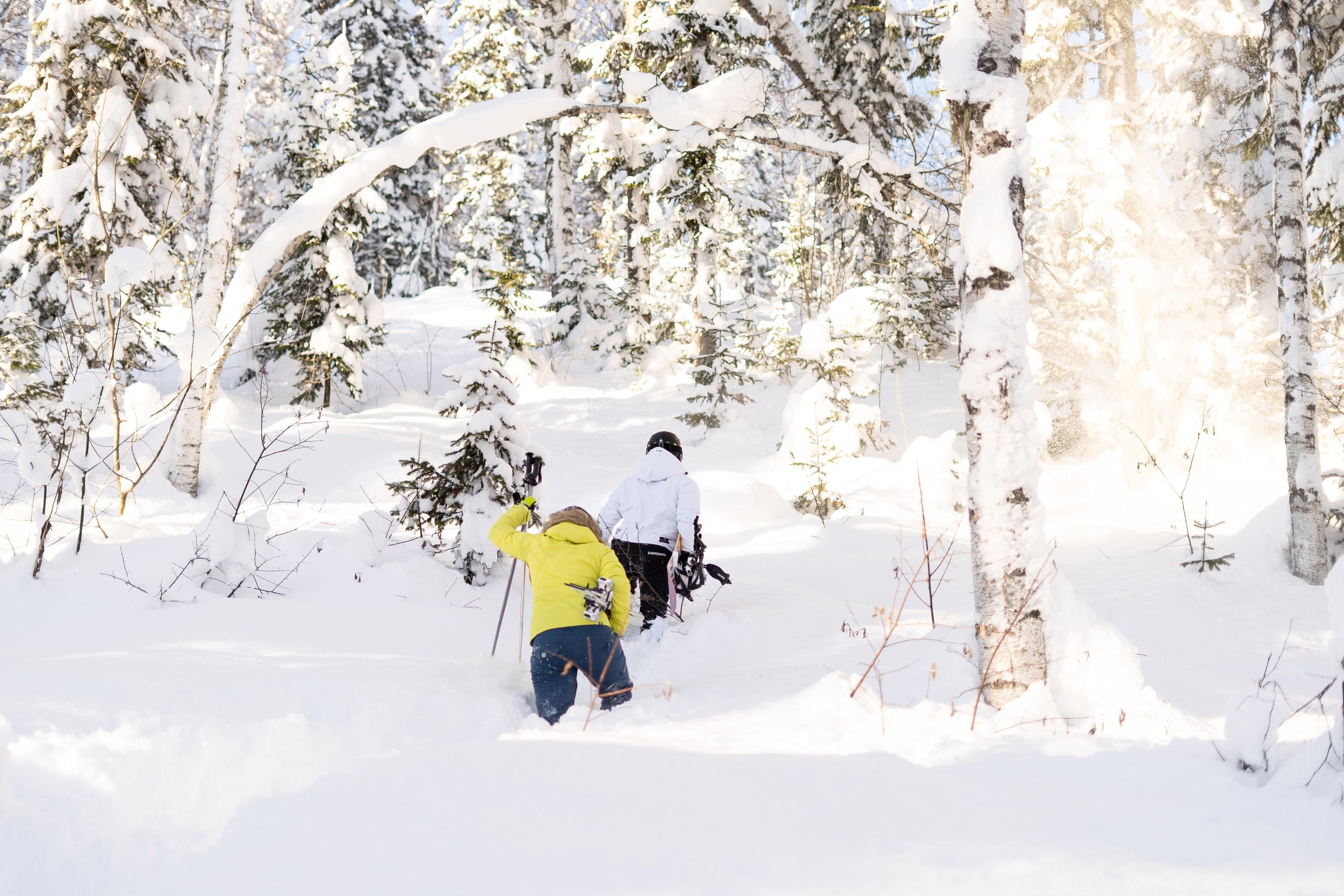 Прогулка Сектор Е. Анастасия Паршукова — фотограф Шерегеш Новосибирск