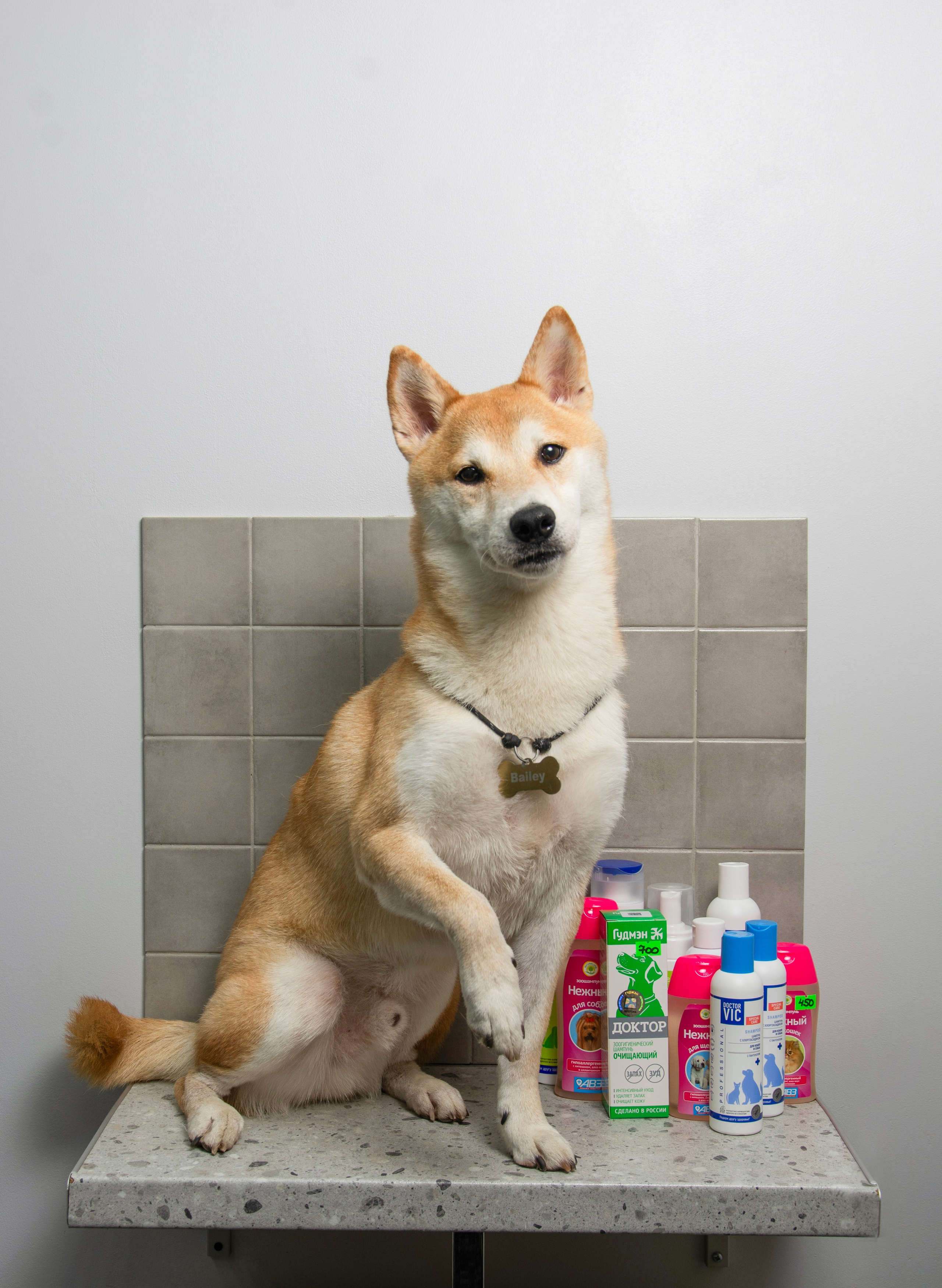 Бэйли. Портретный фотограф Денис Милютин