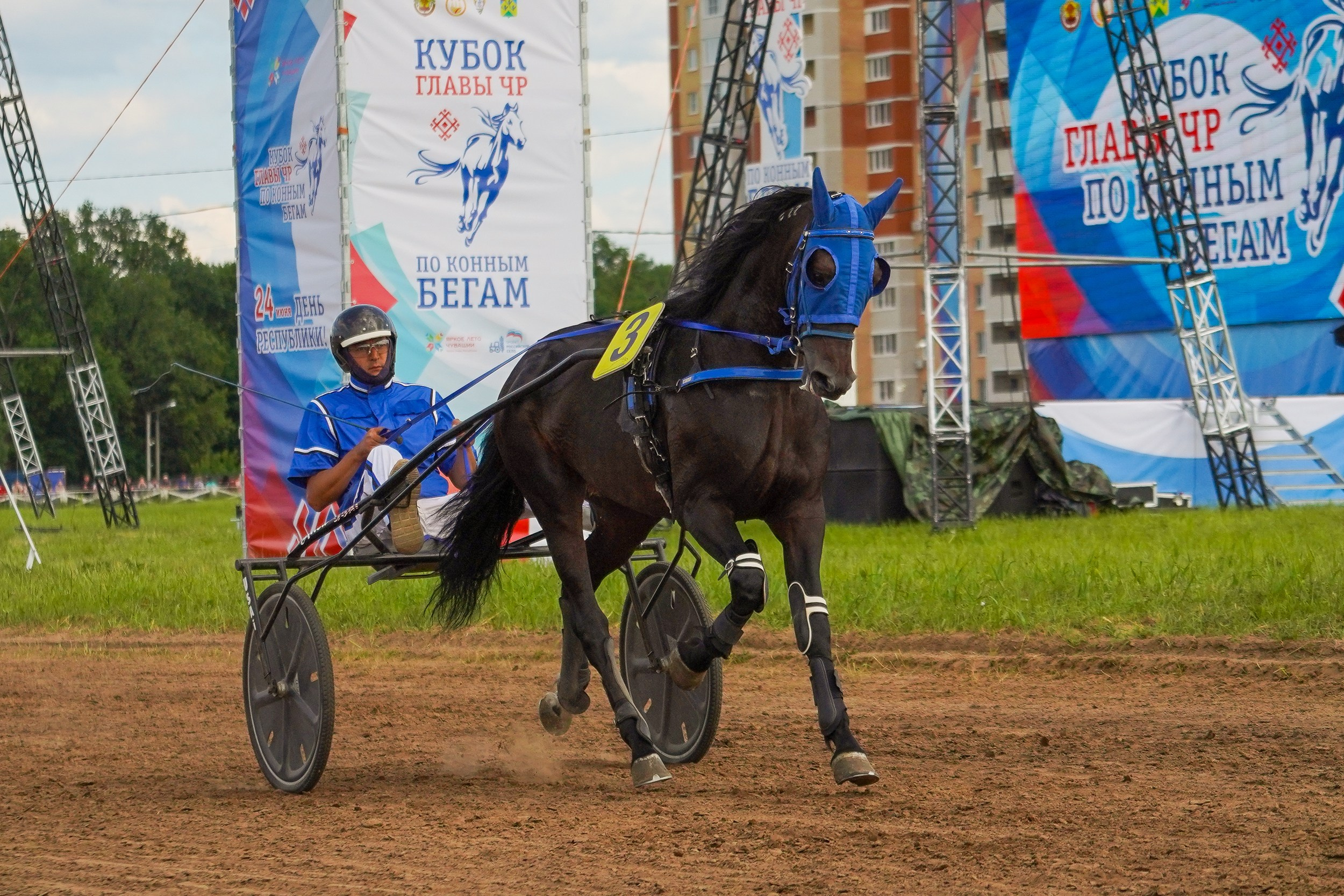 III конные бега на Кубок Главы Чувашии. Фотограф-анималист, портретный фотограф в Чебоксарах Мария Садыкова