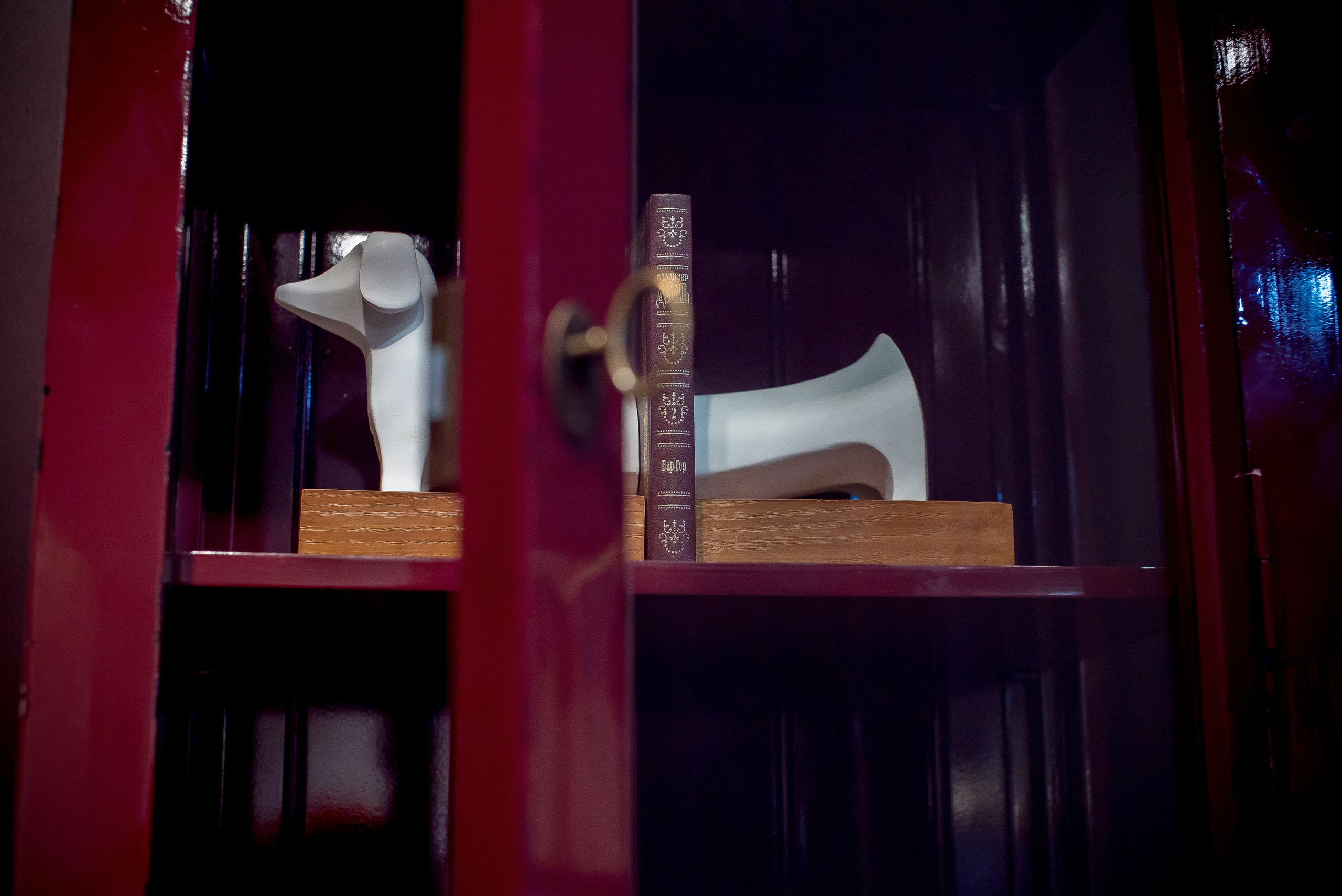 Interior photographer Max Matvich. Max Matvich and Victoria Basova are professionals in their field