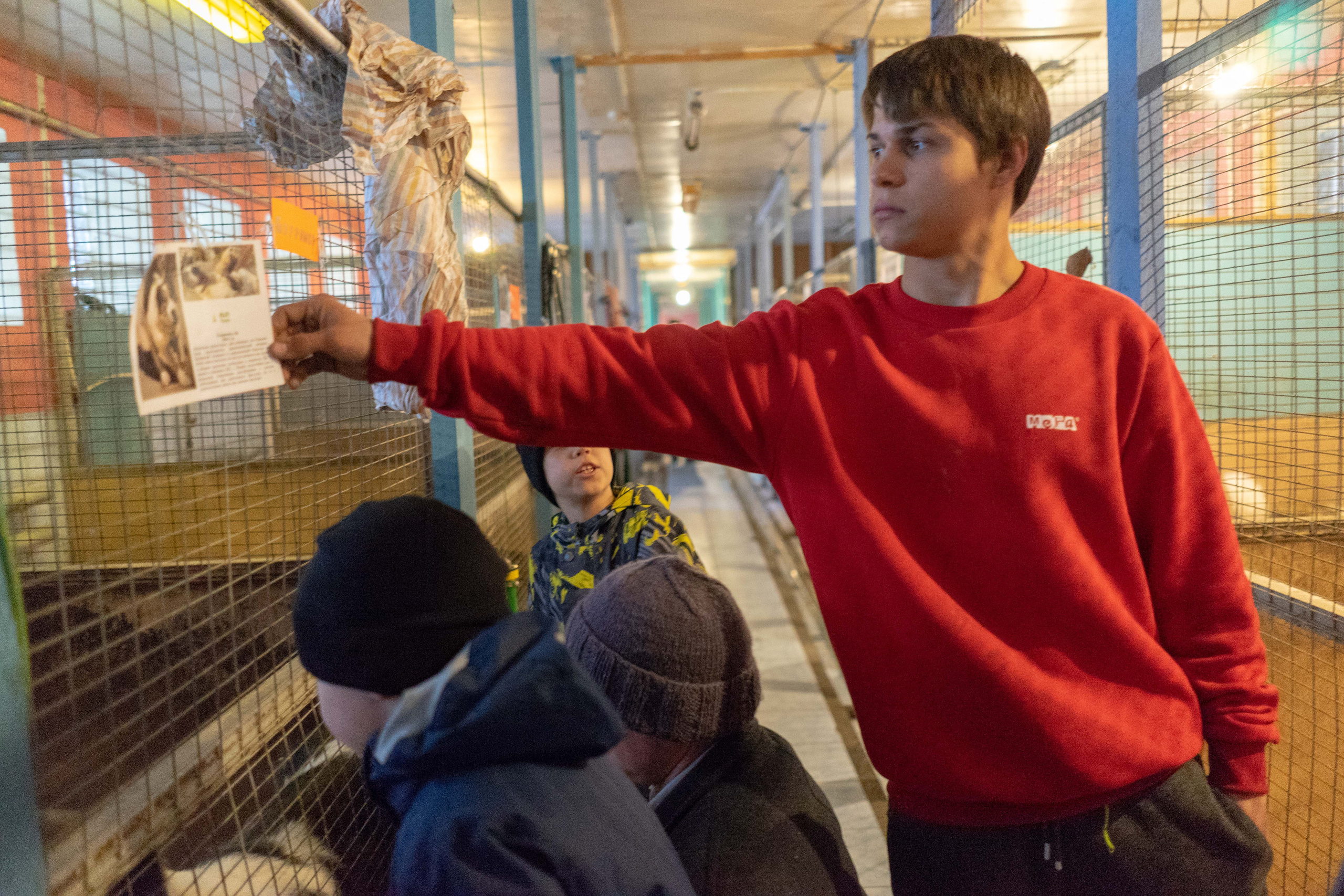 Детская экскурсия в приют «Ржевка». Фотограф Елизавета Потешкина