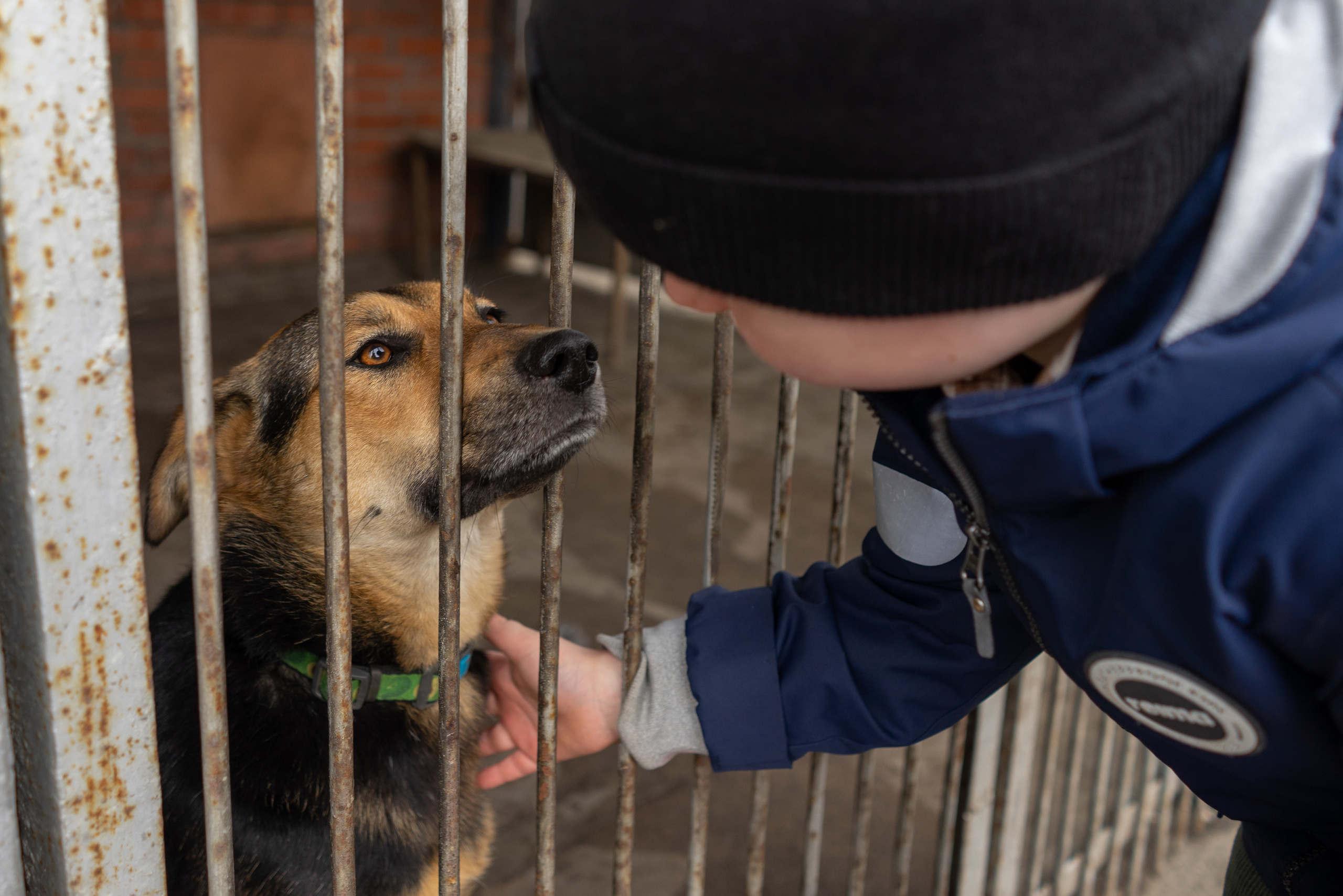 Детская экскурсия в приют «Ржевка». Фотограф Елизавета Потешкина