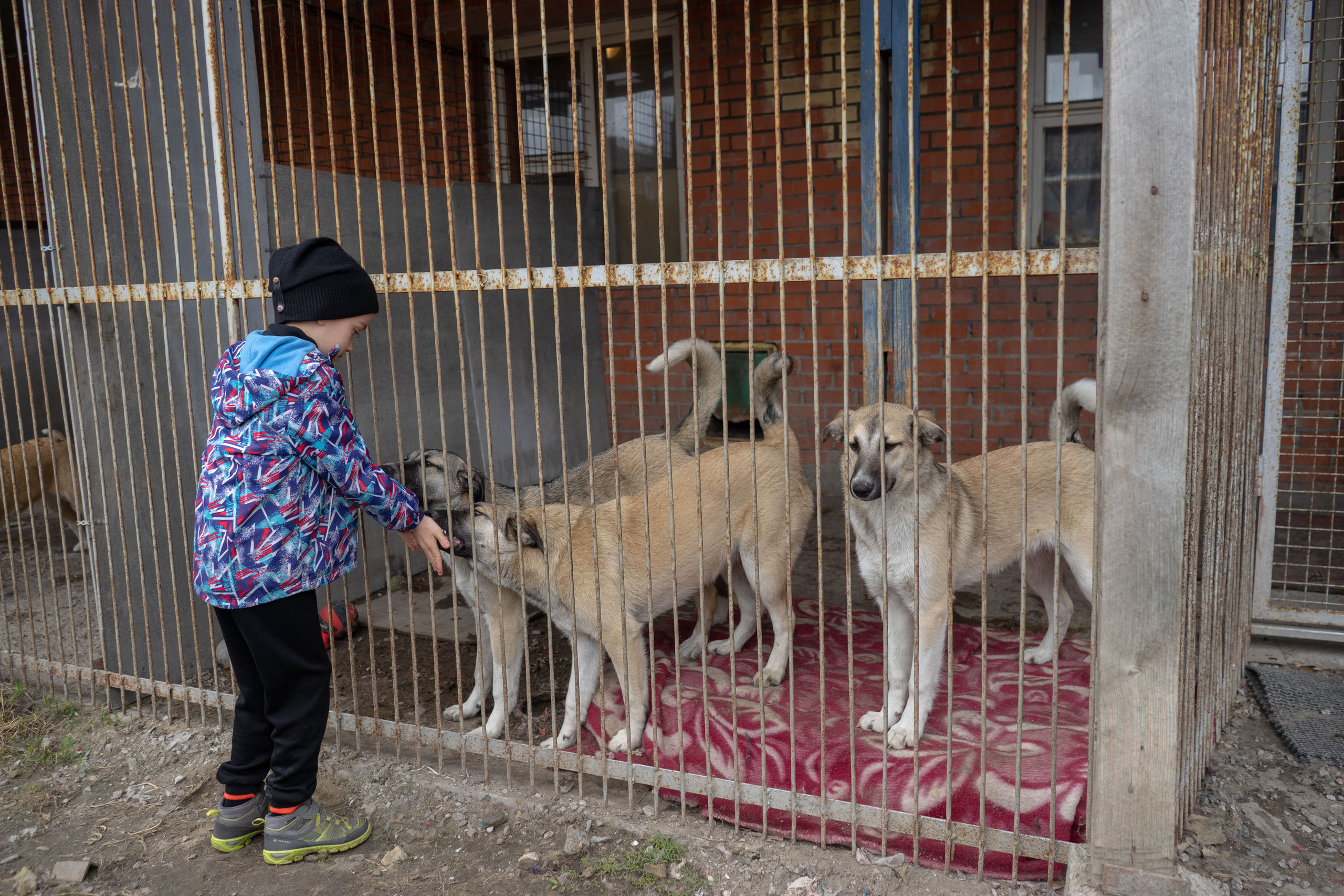 Детская экскурсия в приют «Ржевка». Фотограф Елизавета Потешкина