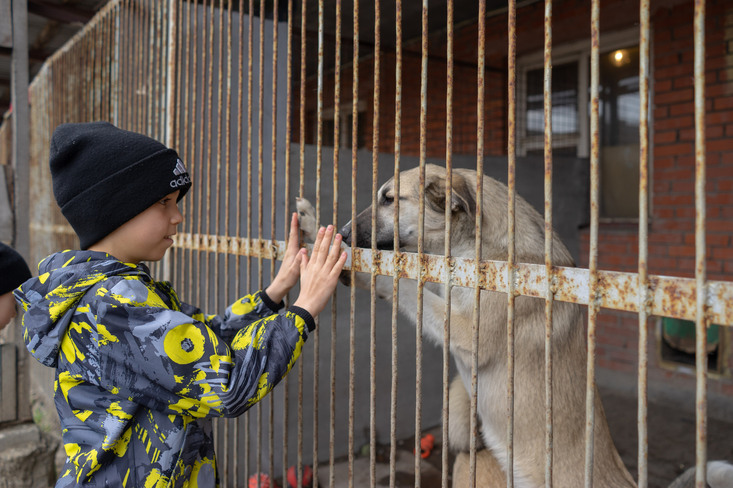 Детская экскурсия в приют «Ржевка». Фотограф Елизавета Потешкина