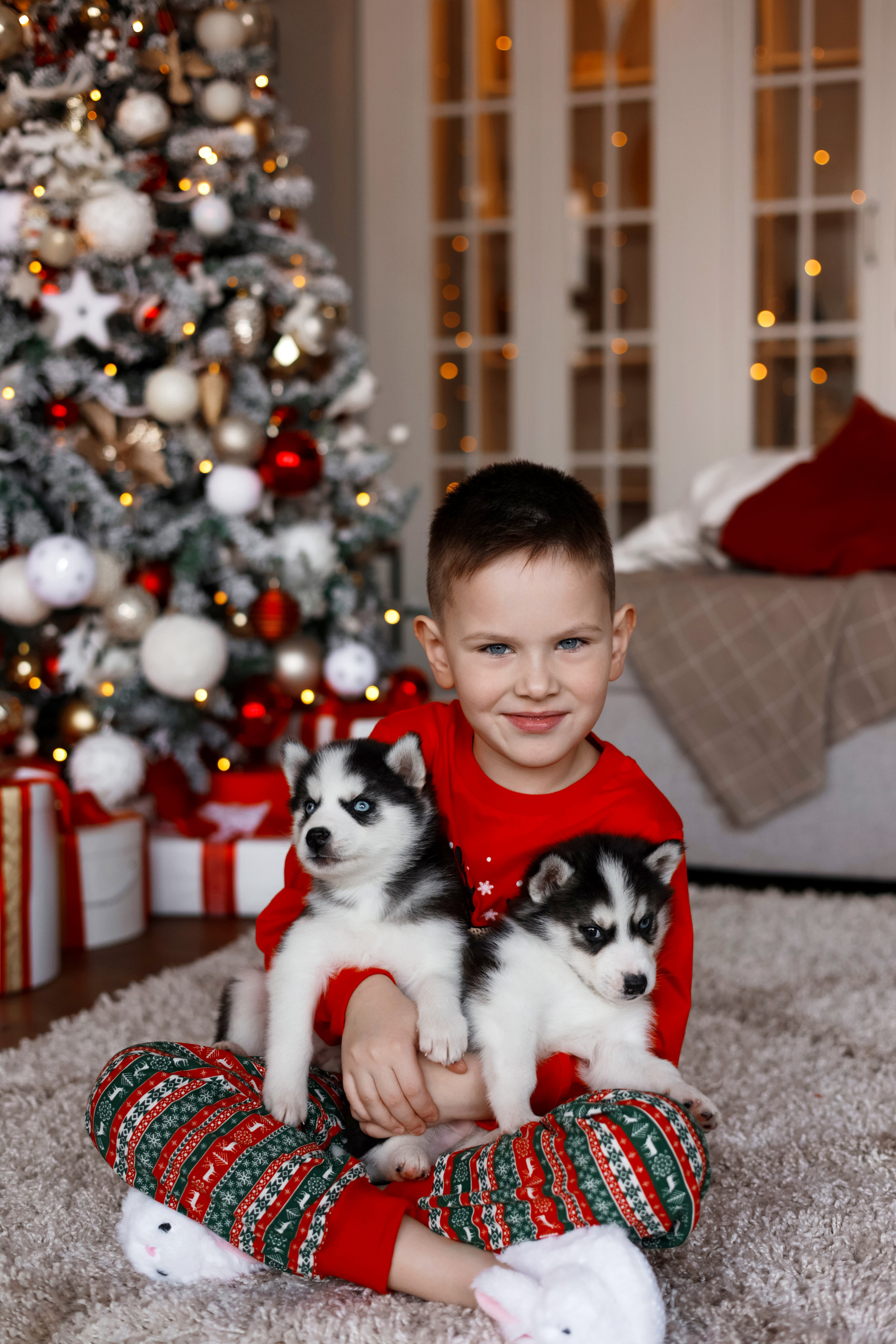 Новый год. Фотограф Санкт-Петербург