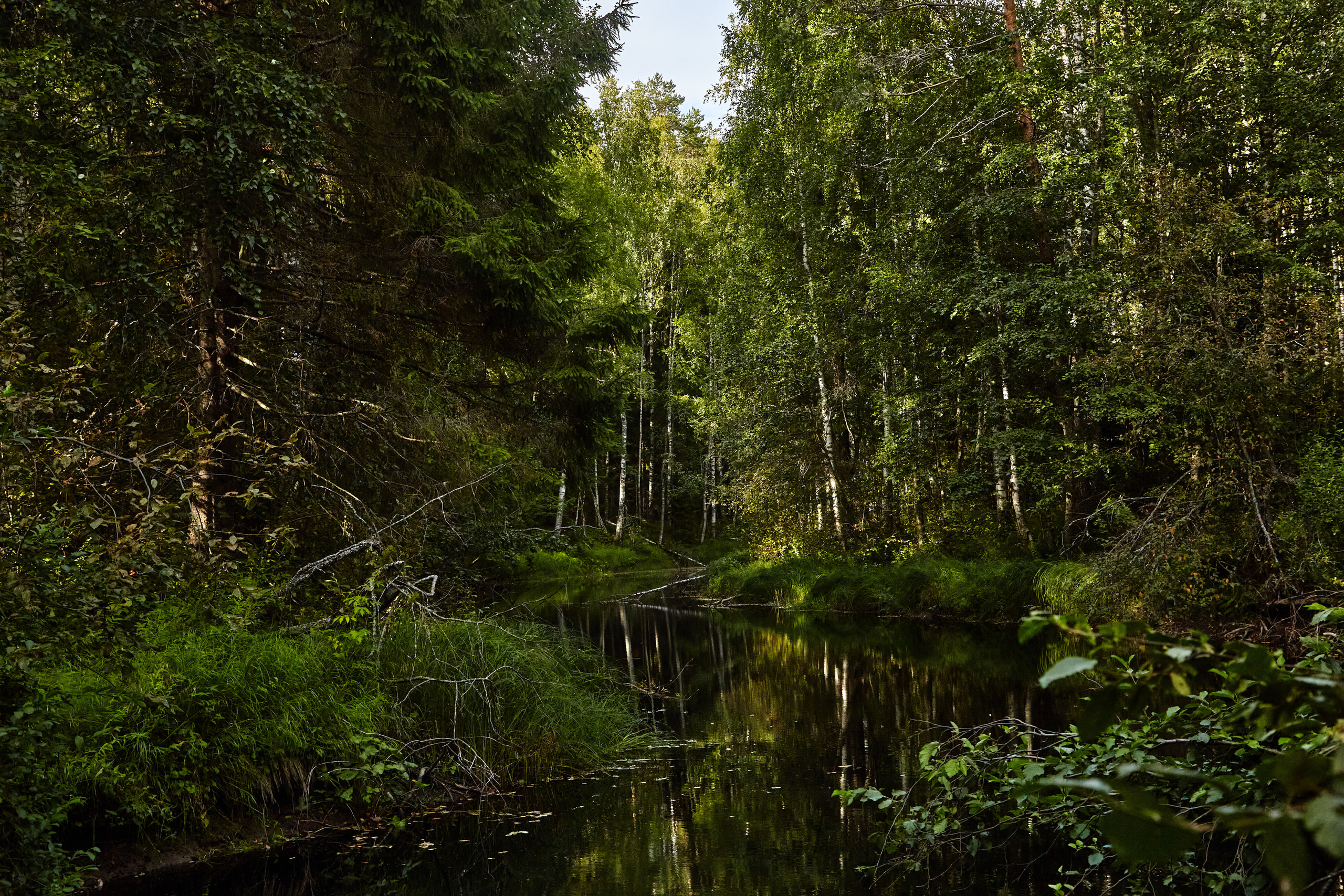 Карелия, золото и мрамор. Креативный фотограф в Москве