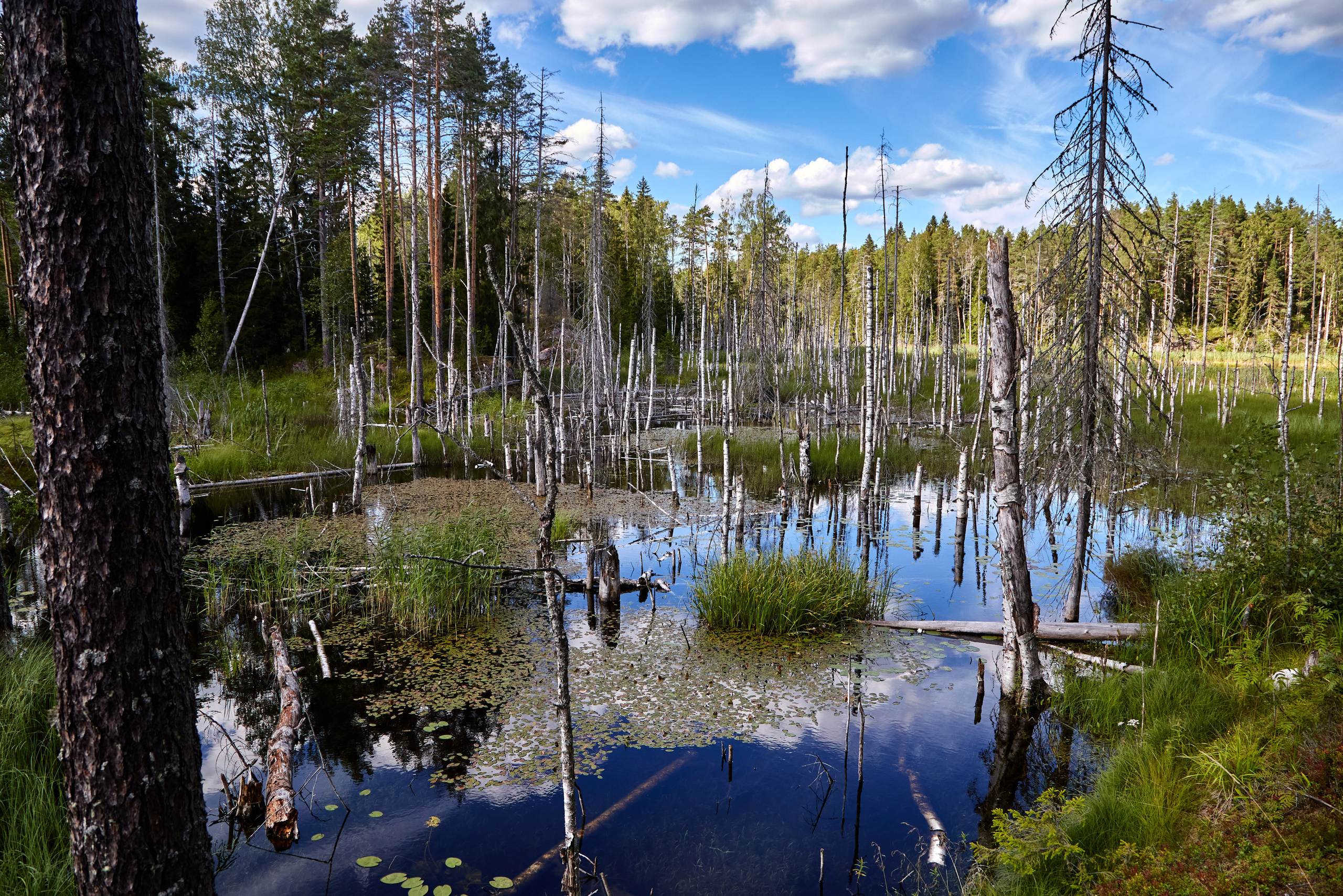 Карелия, золото и мрамор. Креативный фотограф в Москве