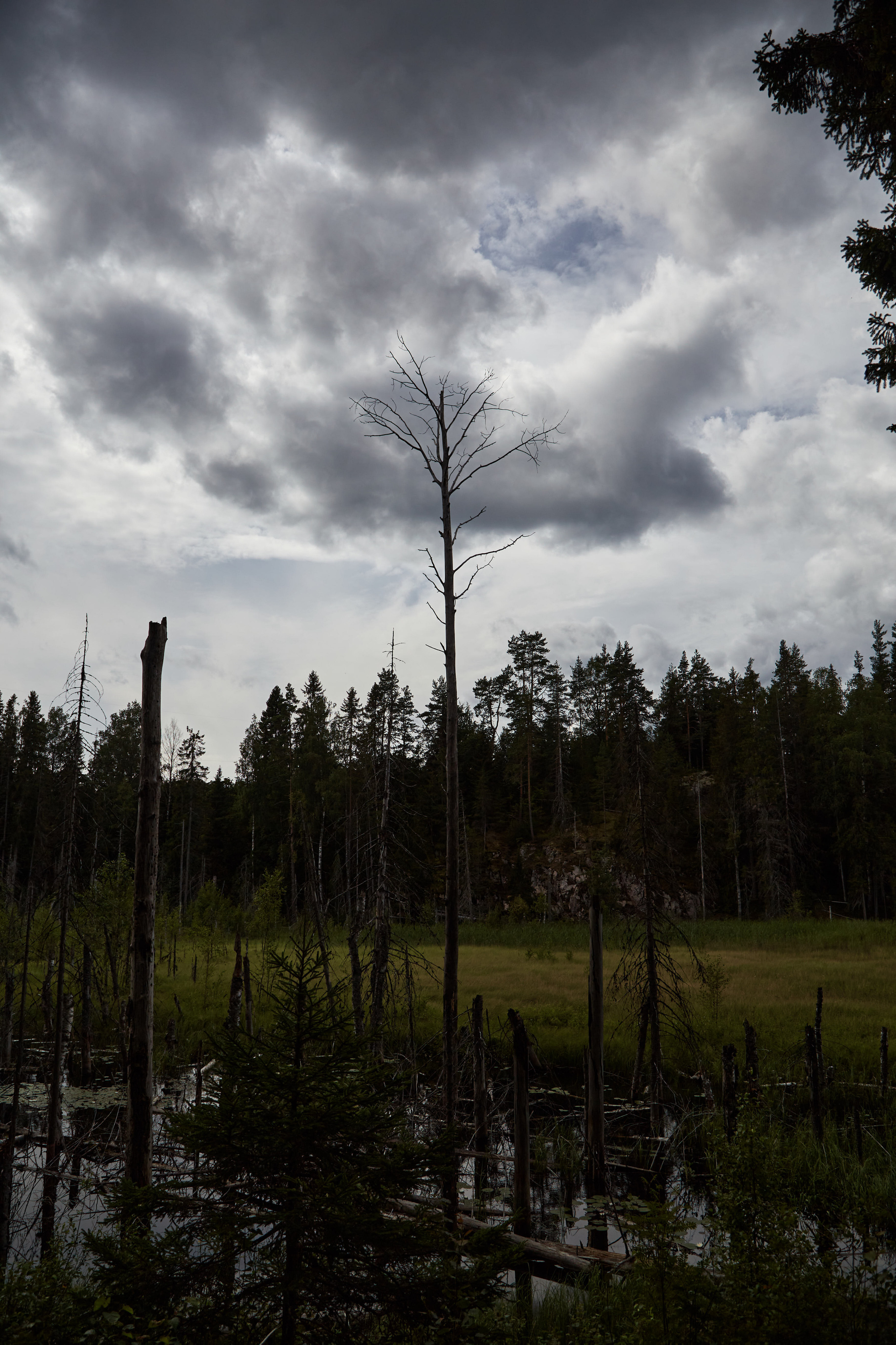 Карелия, золото и мрамор. Креативный фотограф в Москве