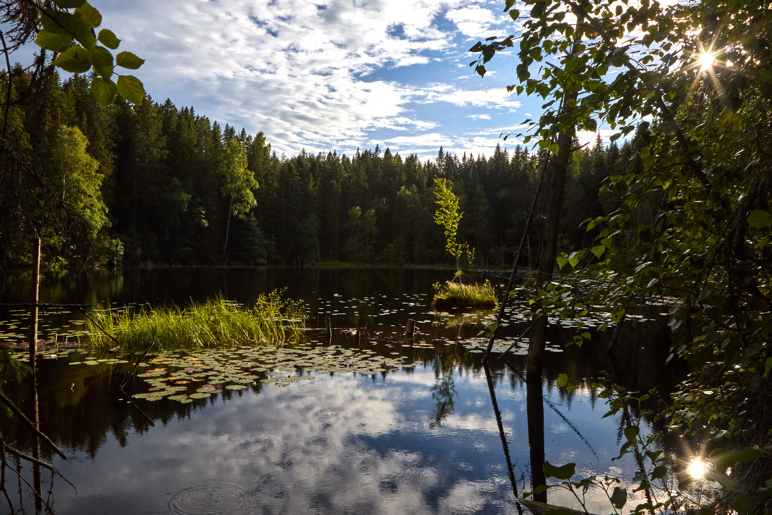 Карелия, золото и мрамор. Креативный фотограф в Москве