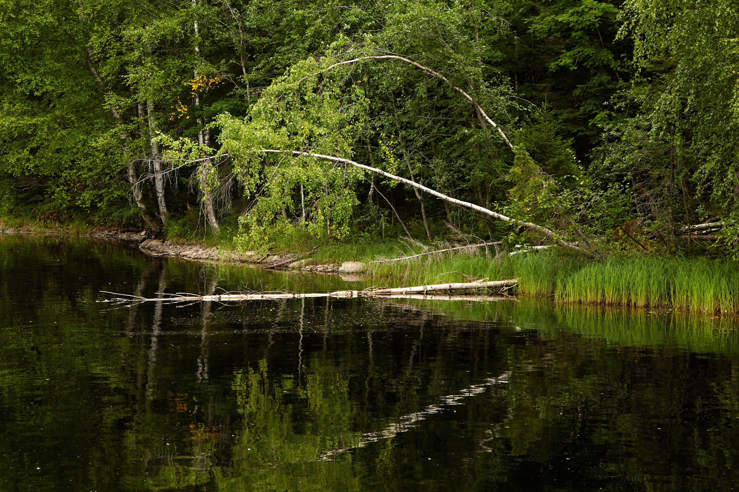 Карелия, золото и мрамор. Креативный фотограф в Москве