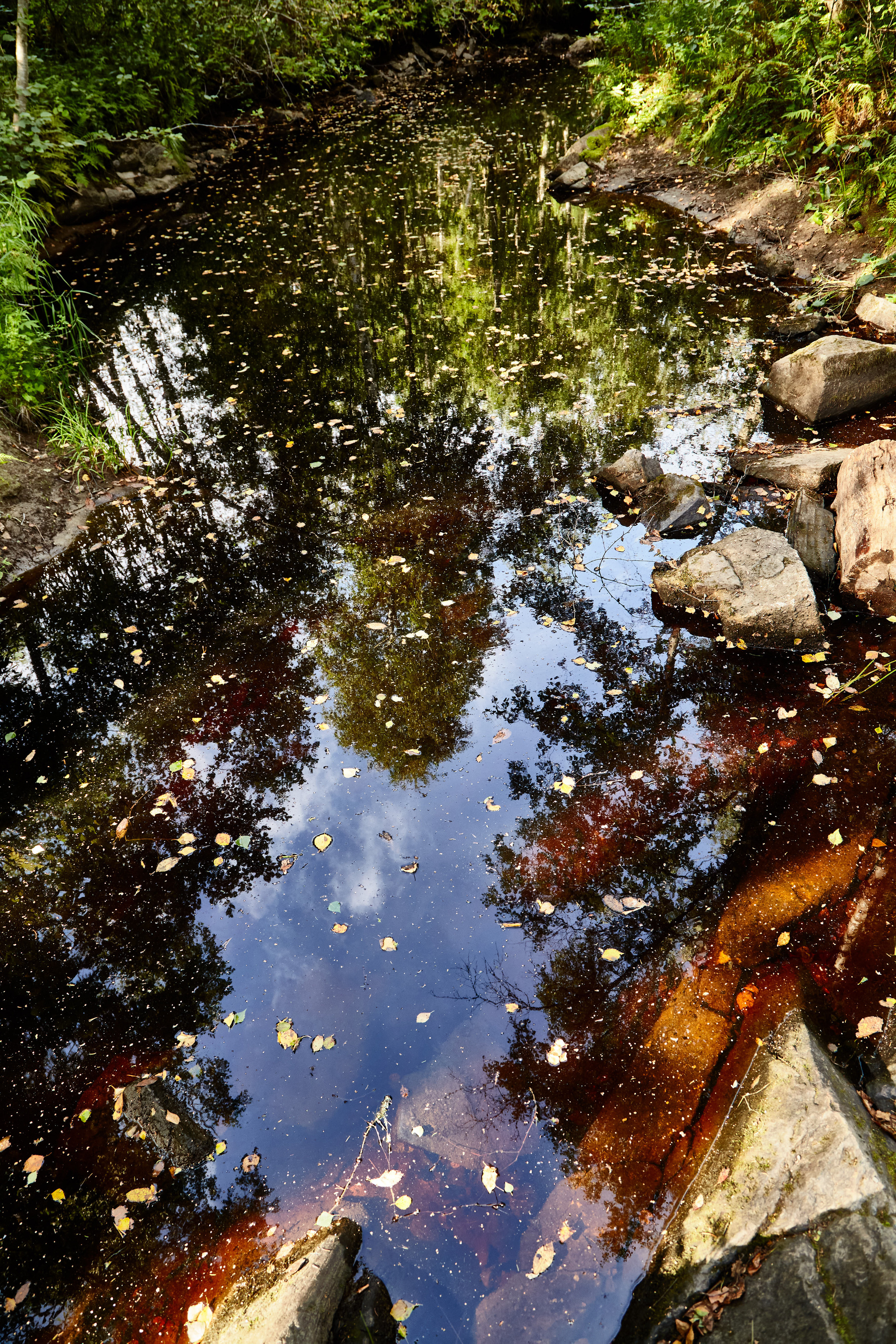 Карелия, золото и мрамор. Креативный фотограф в Москве