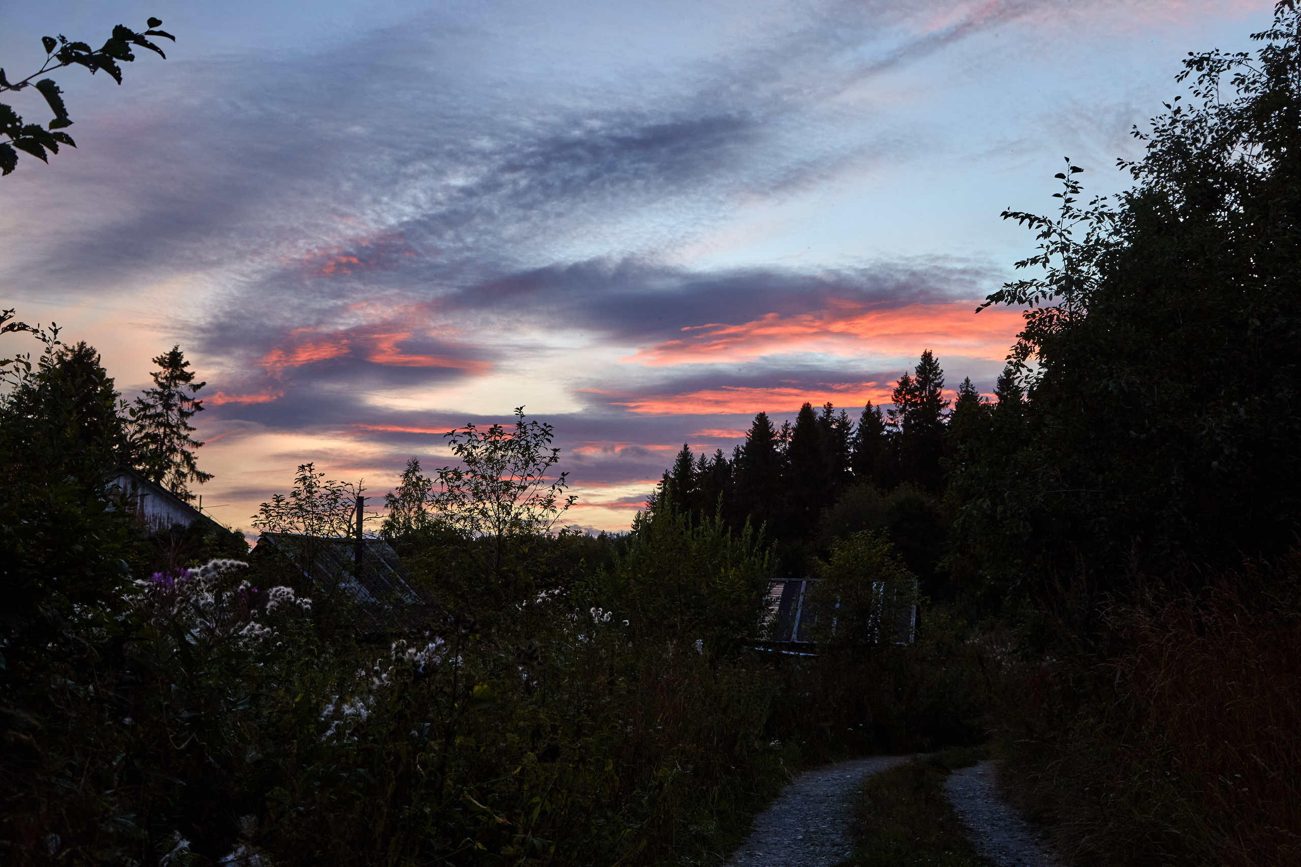 Карелия, золото и мрамор. Креативный фотограф в Москве