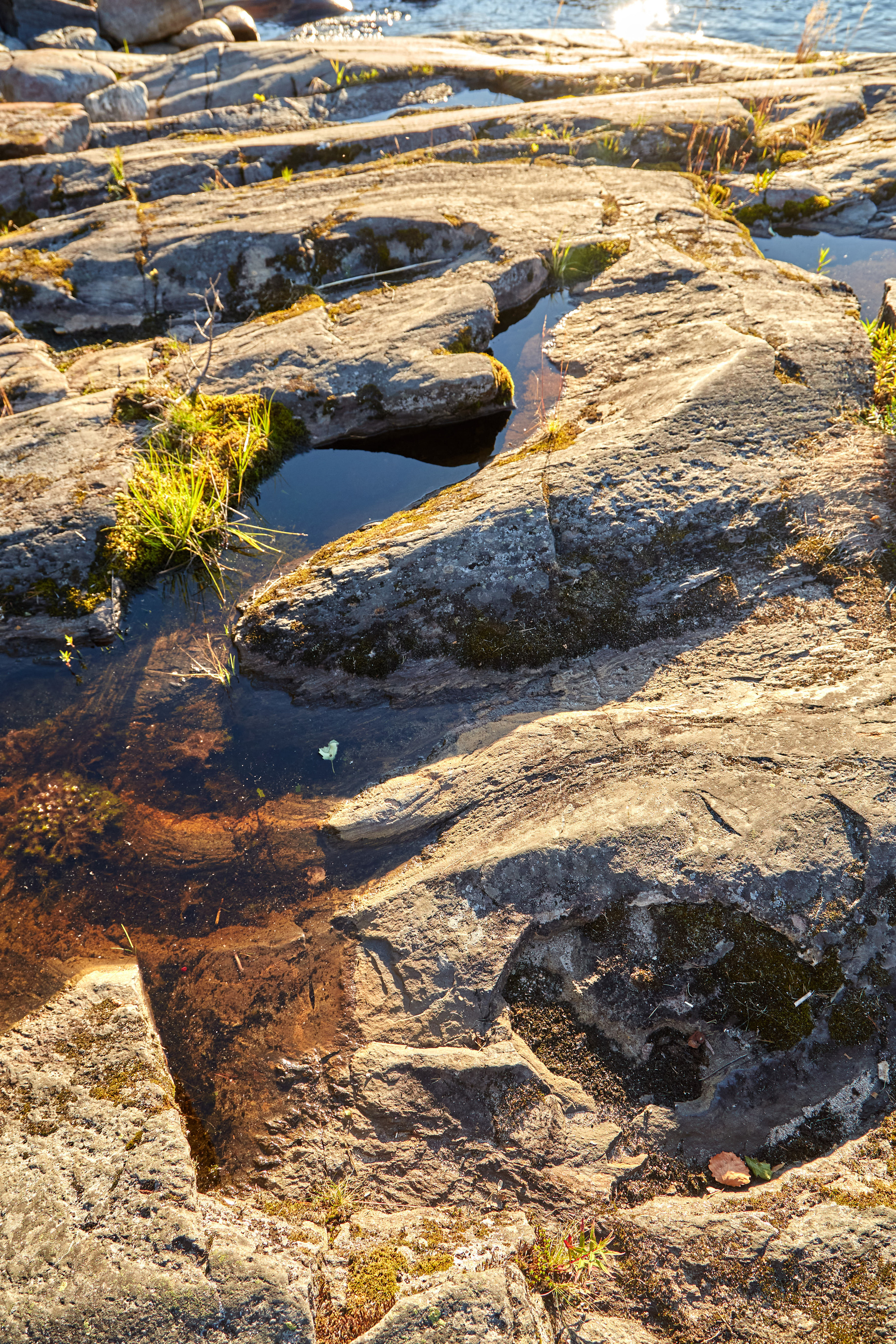 Карелия, золото и мрамор. Креативный фотограф в Москве