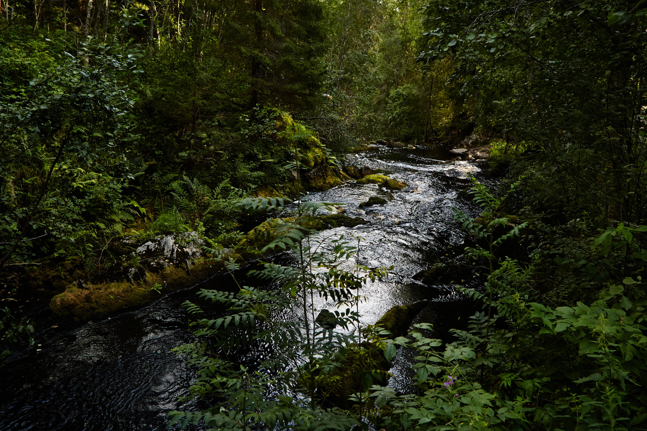 Карелия, золото и мрамор. Креативный фотограф в Москве
