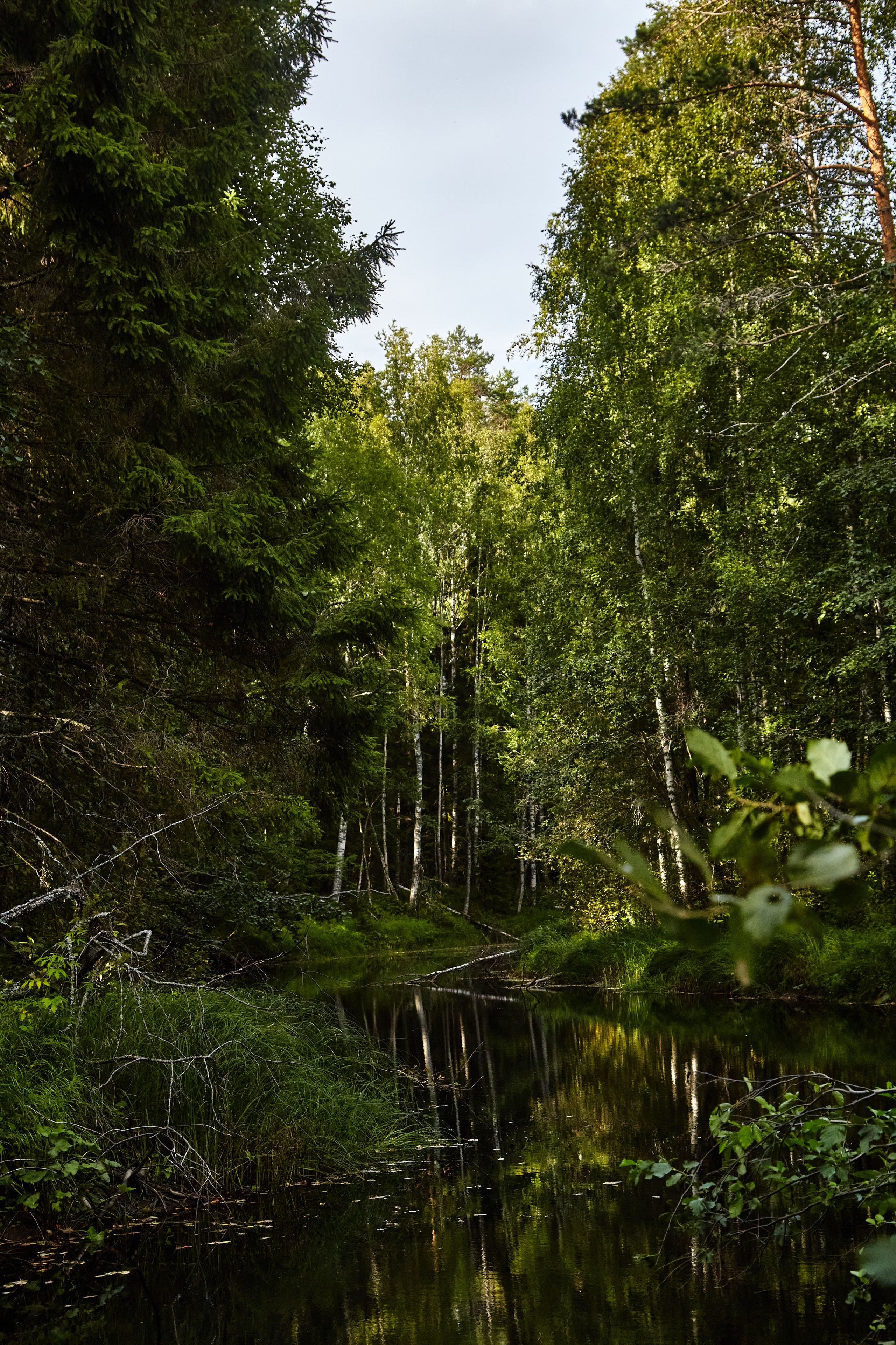 Карелия, золото и мрамор. Креативный фотограф в Москве