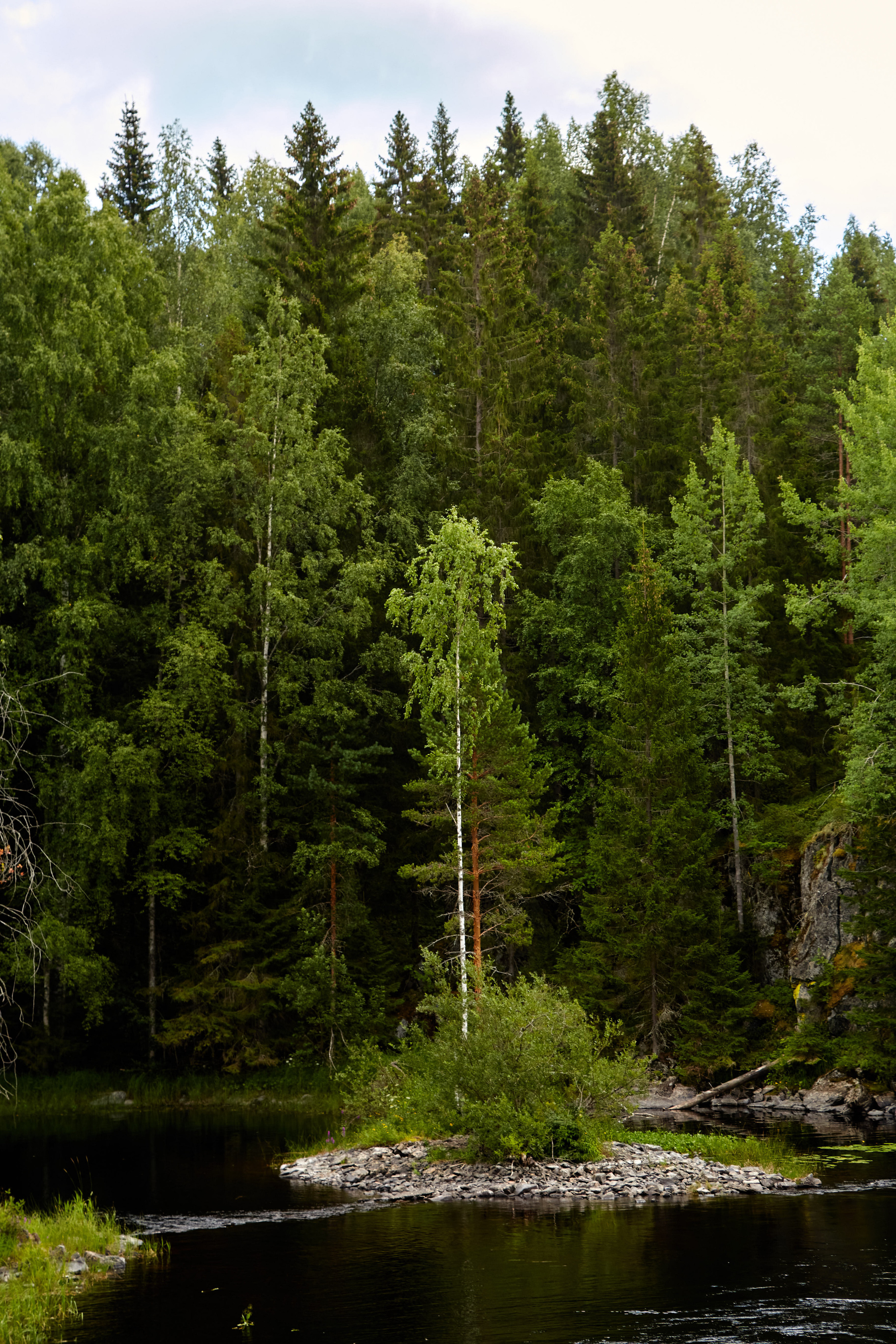 Карелия, золото и мрамор. Креативный фотограф в Москве