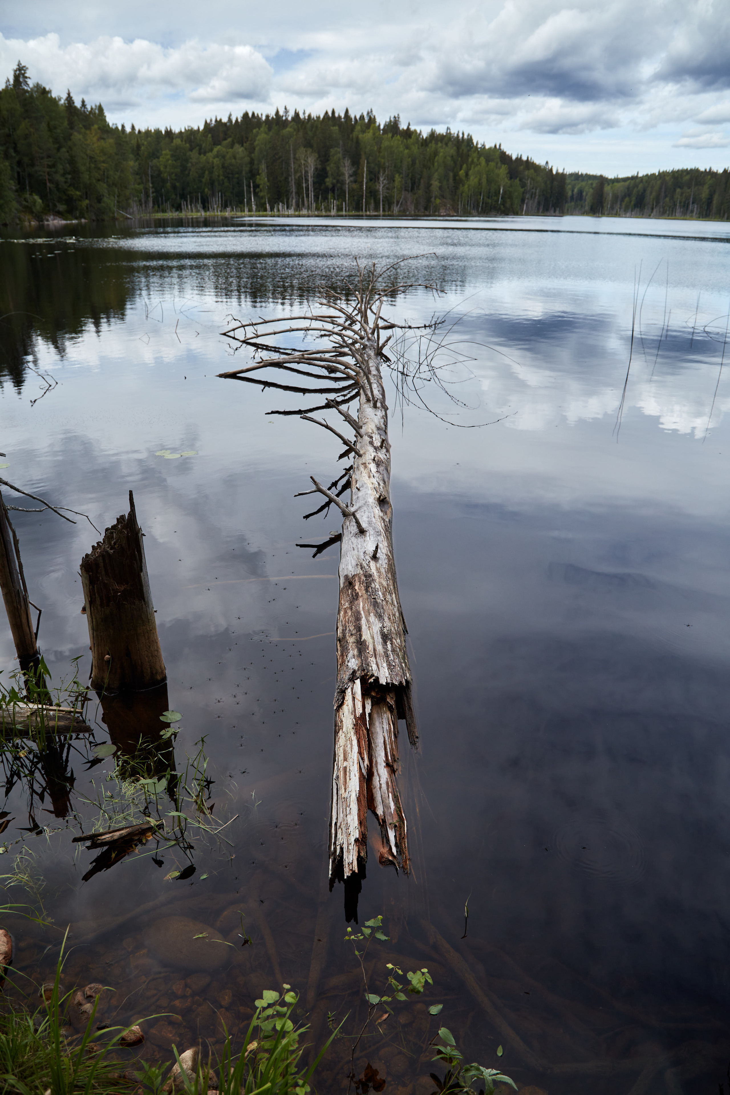 Карелия, золото и мрамор. Креативный фотограф в Москве