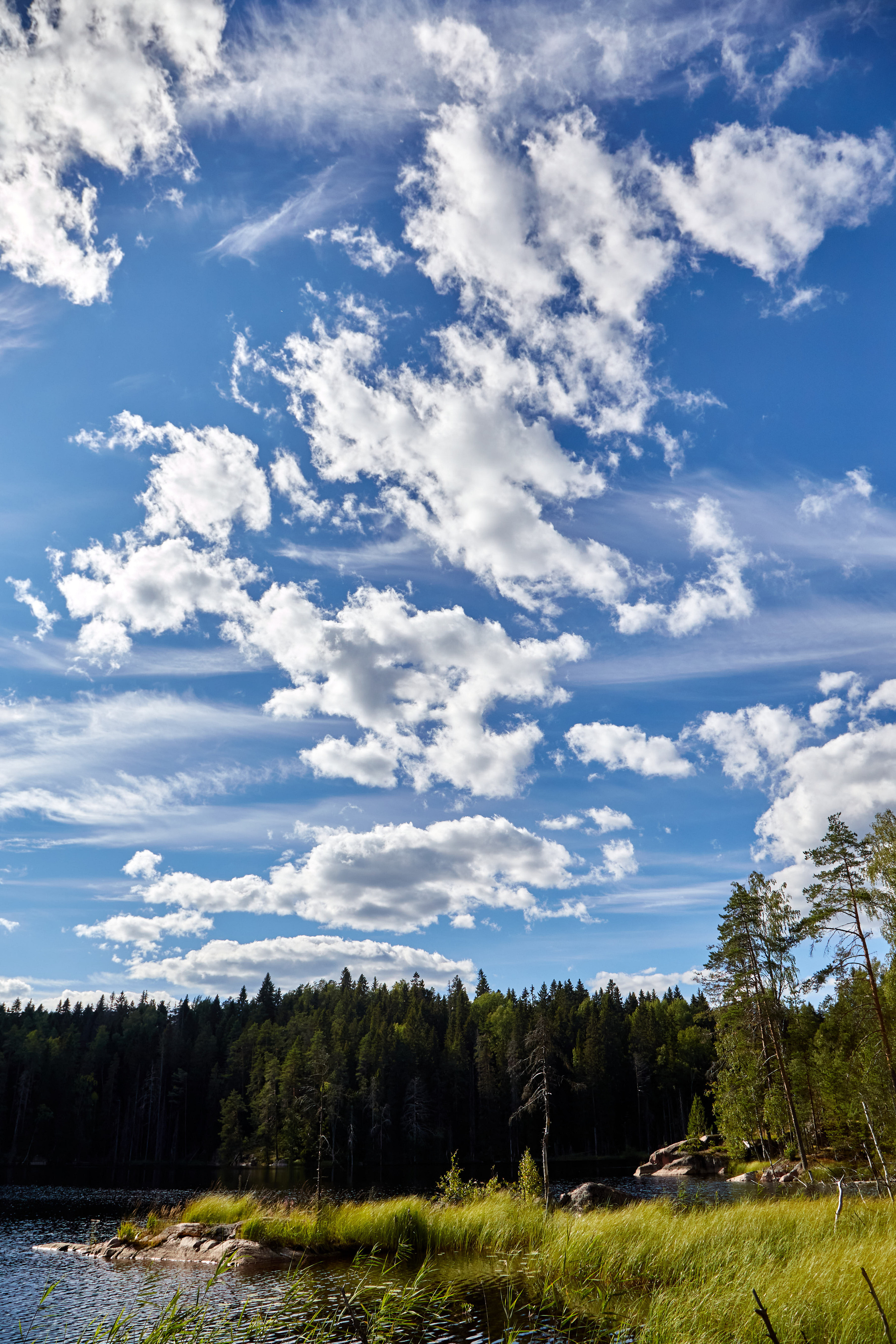 Карелия, золото и мрамор. Креативный фотограф в Москве