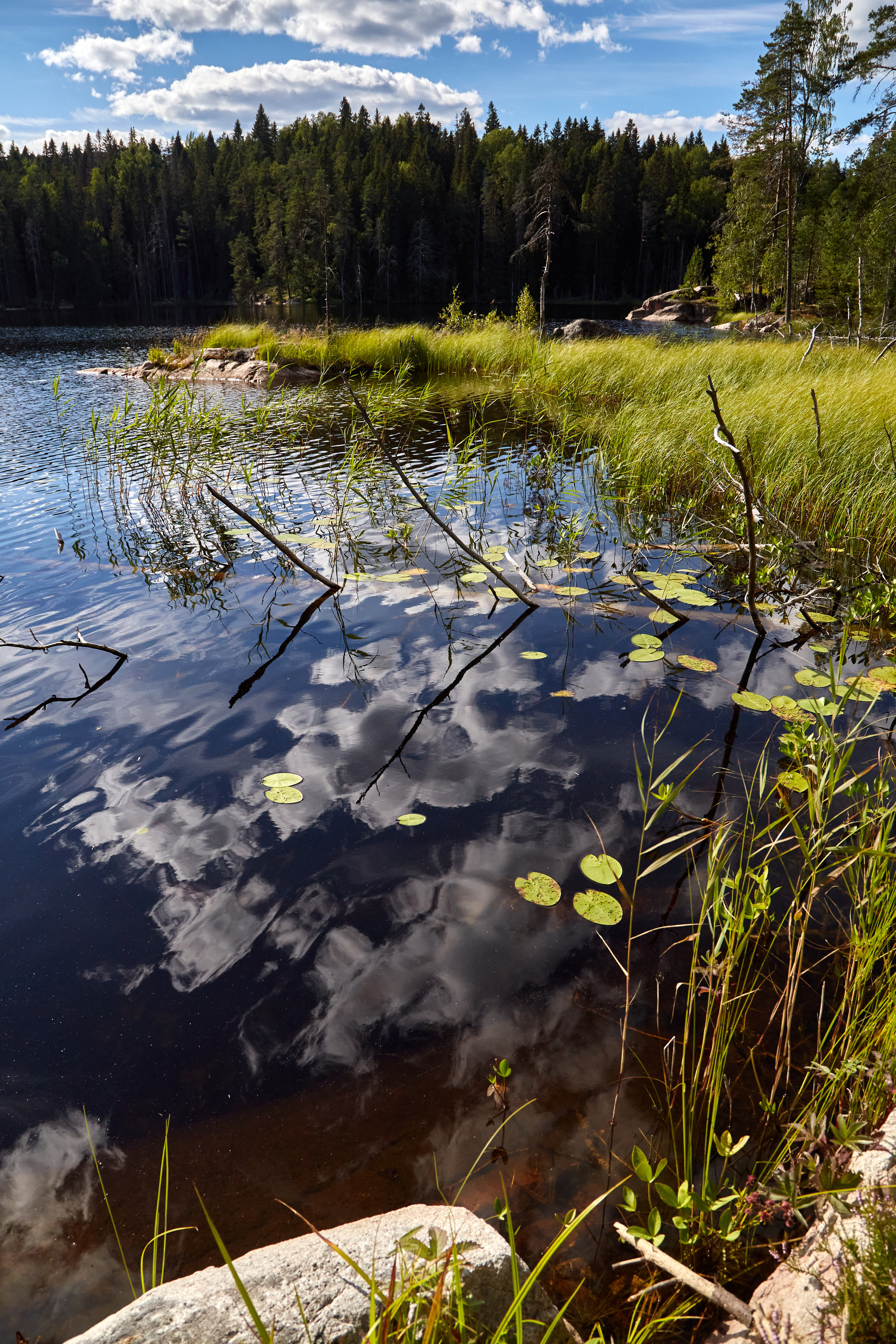 Карелия, золото и мрамор. Креативный фотограф в Москве