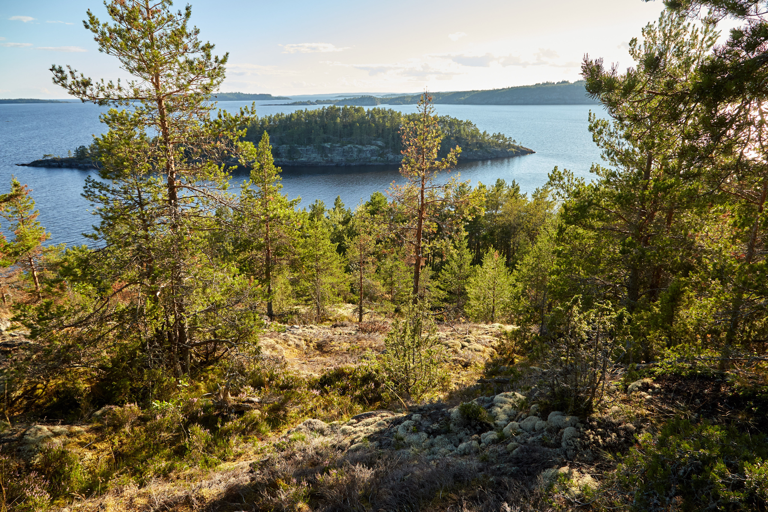 Карелия, золото и мрамор. Креативный фотограф в Москве