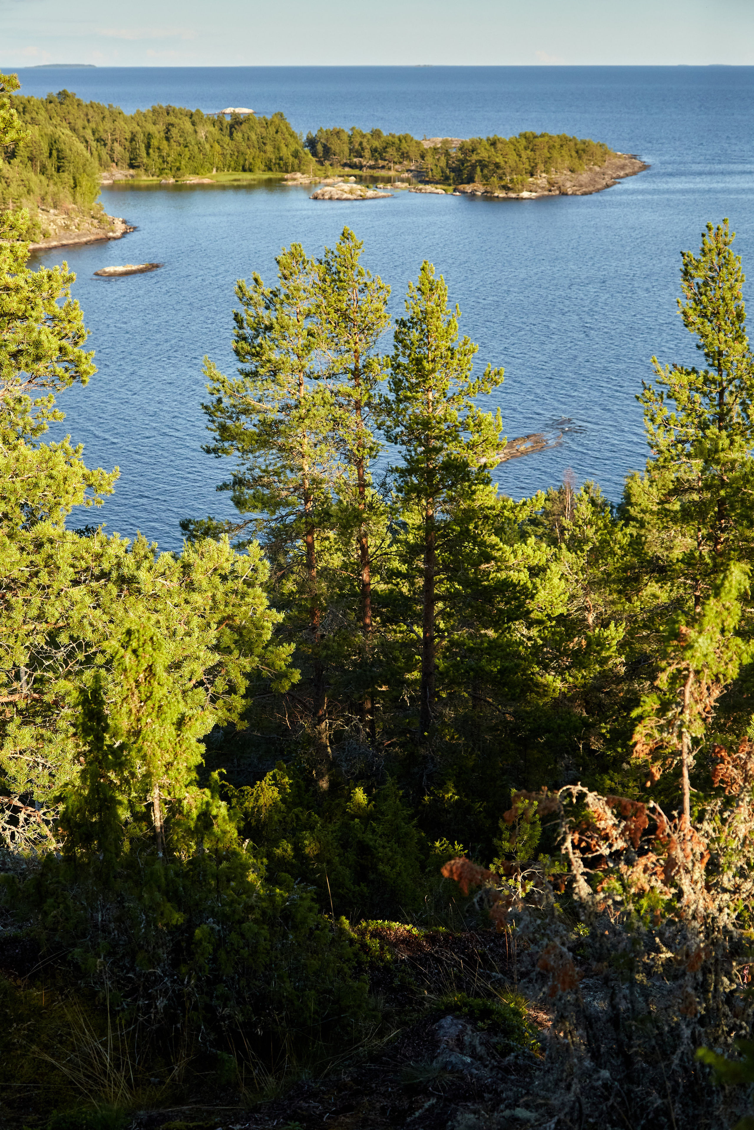 Карелия, золото и мрамор. Креативный фотограф в Москве
