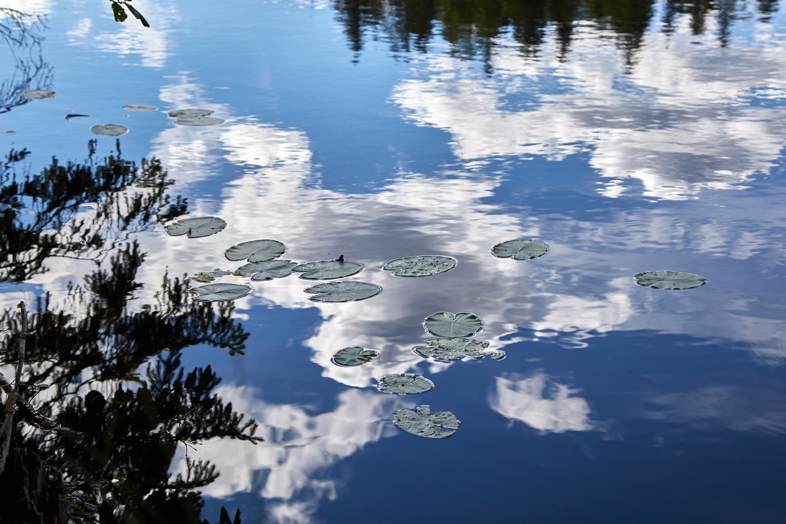 Карелия, золото и мрамор. Креативный фотограф в Москве