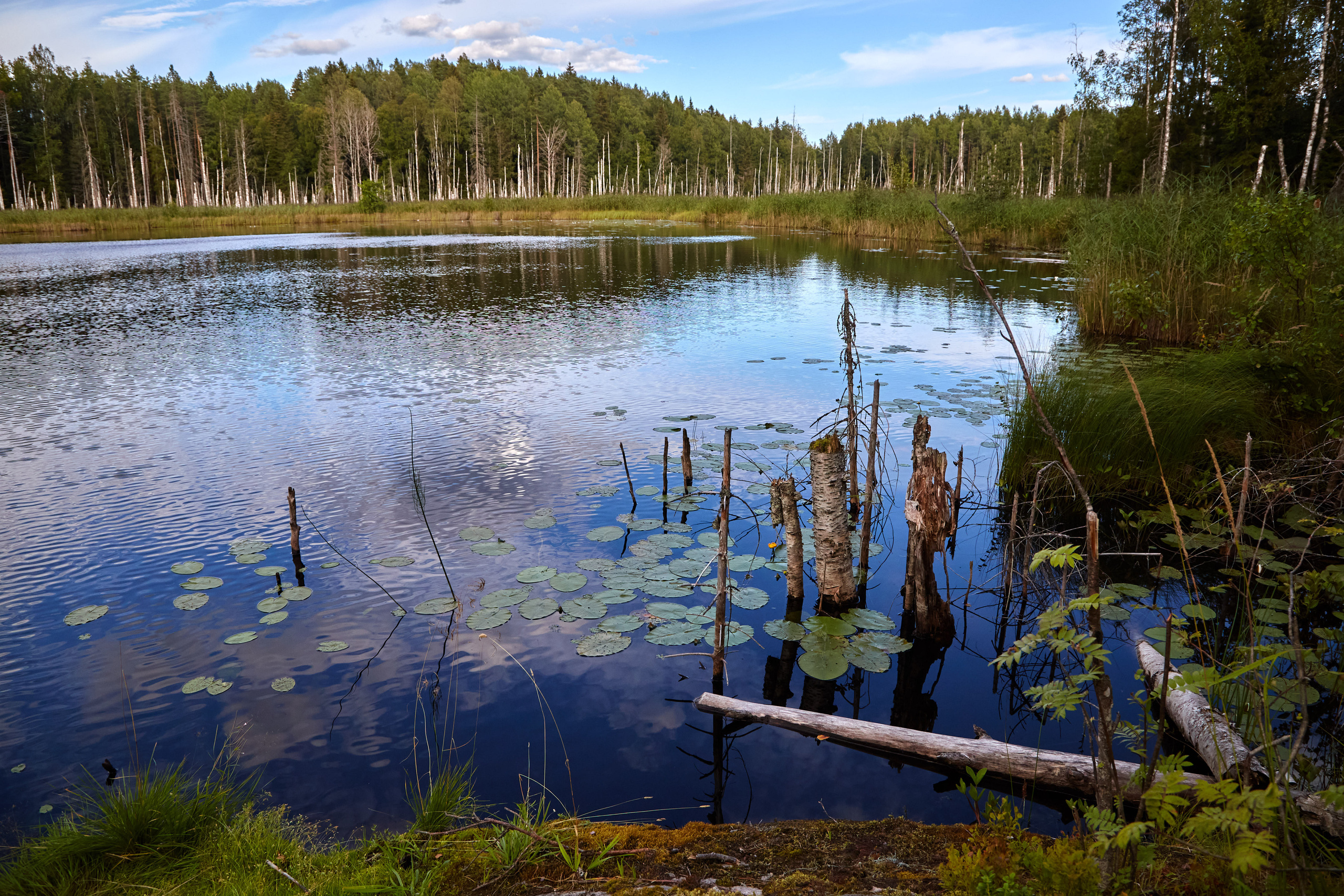 Карелия, золото и мрамор. Креативный фотограф в Москве