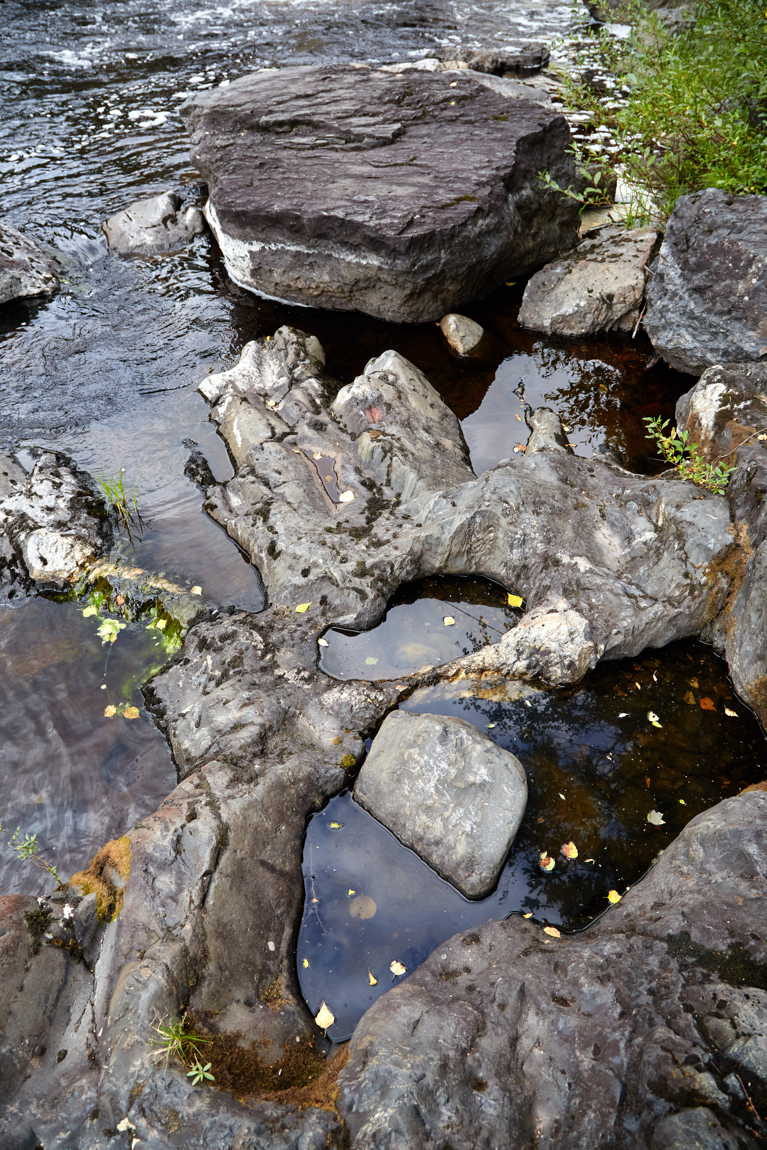 Карелия, золото и мрамор. Креативный фотограф в Москве