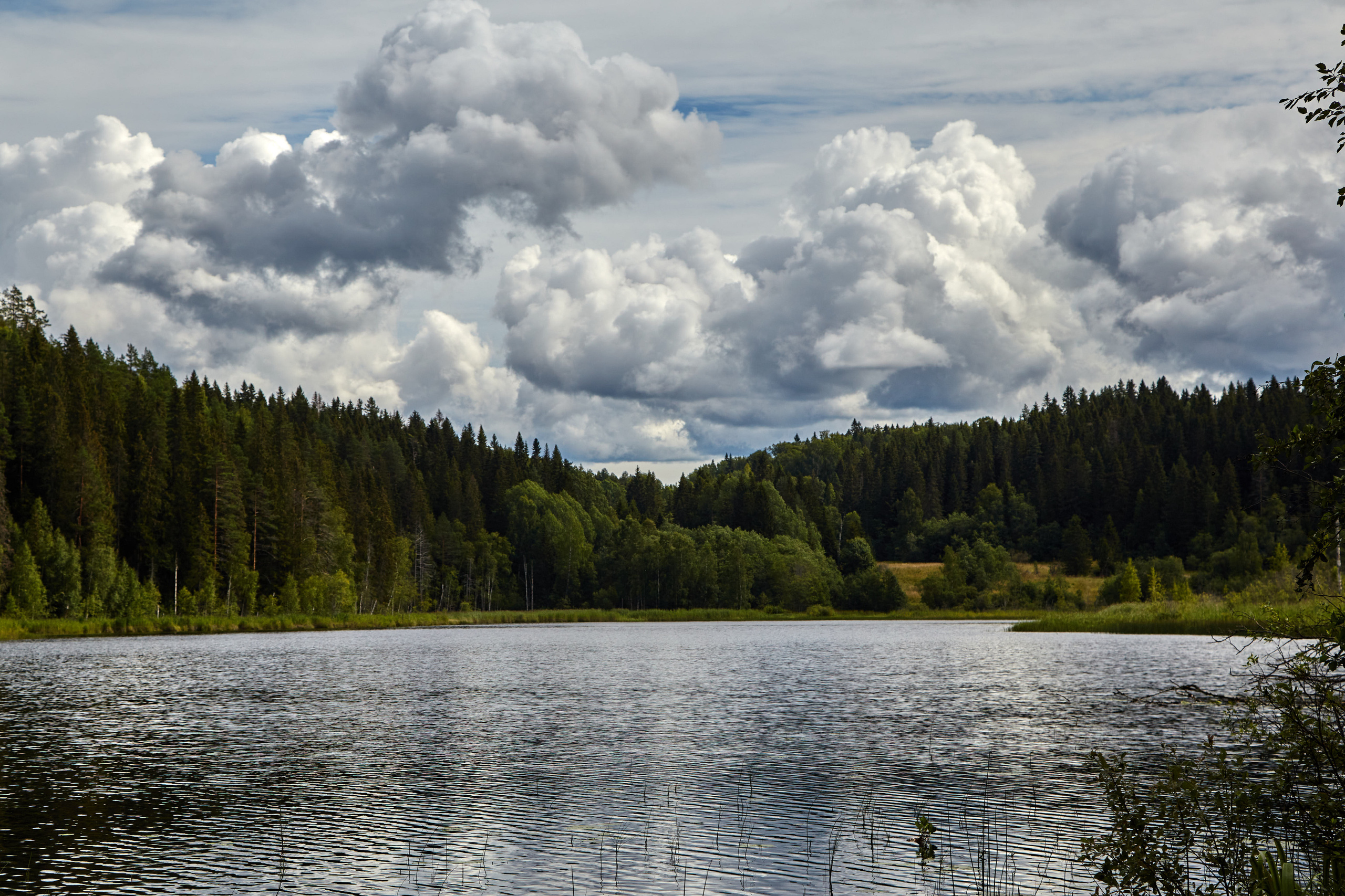 Карелия, золото и мрамор. Креативный фотограф в Москве