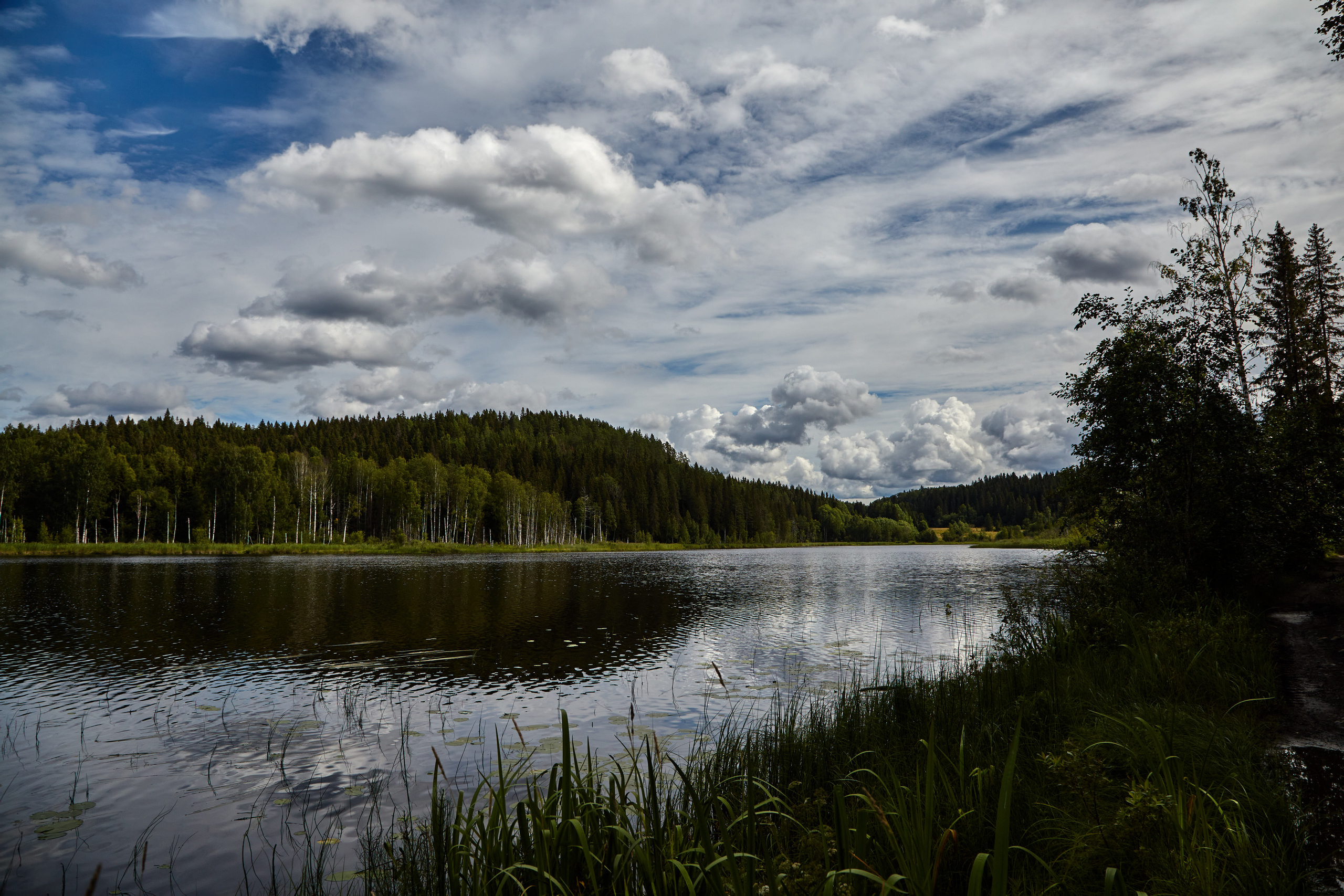 Карелия, золото и мрамор. Креативный фотограф в Москве