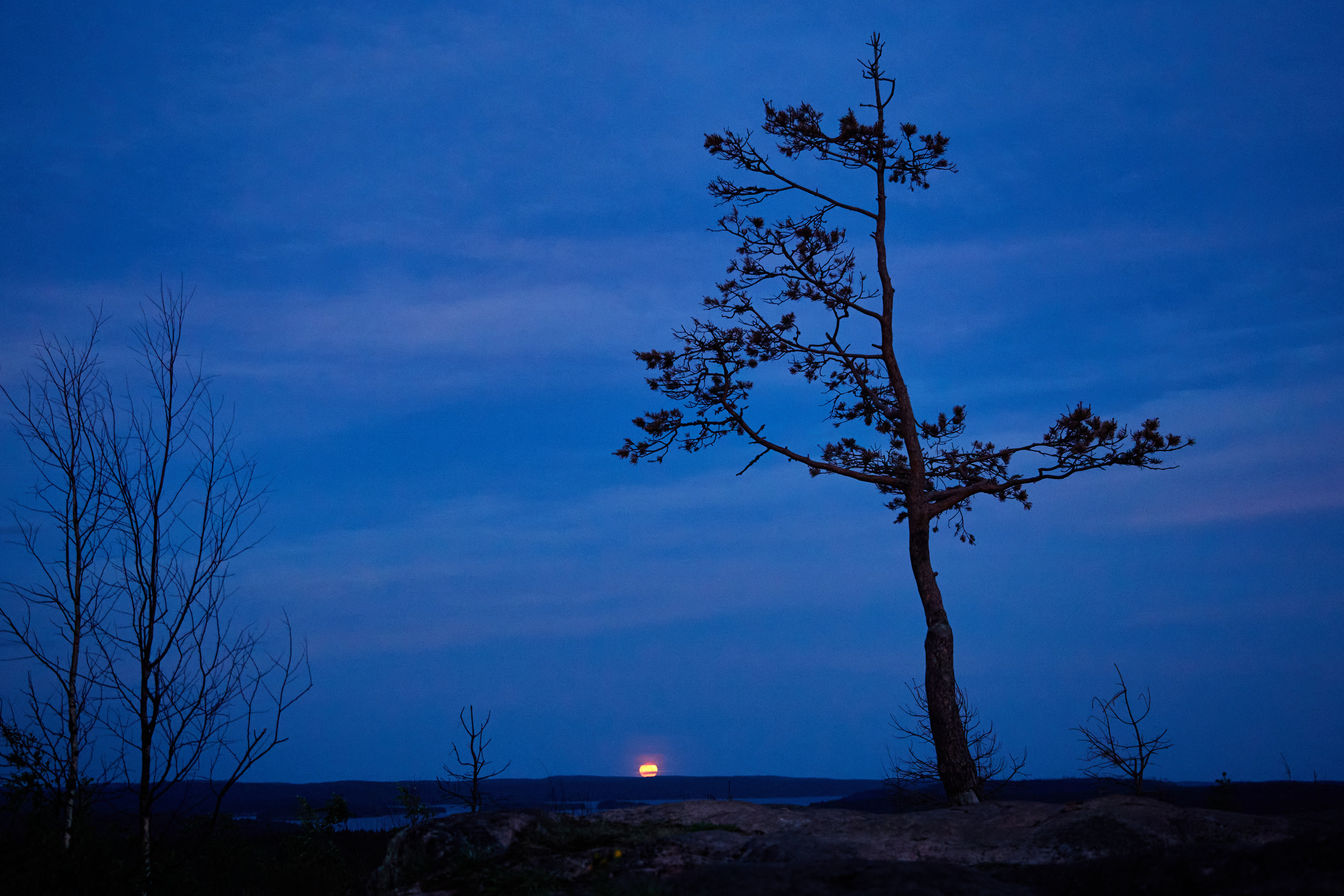 Карелия, золото и мрамор. Креативный фотограф в Москве
