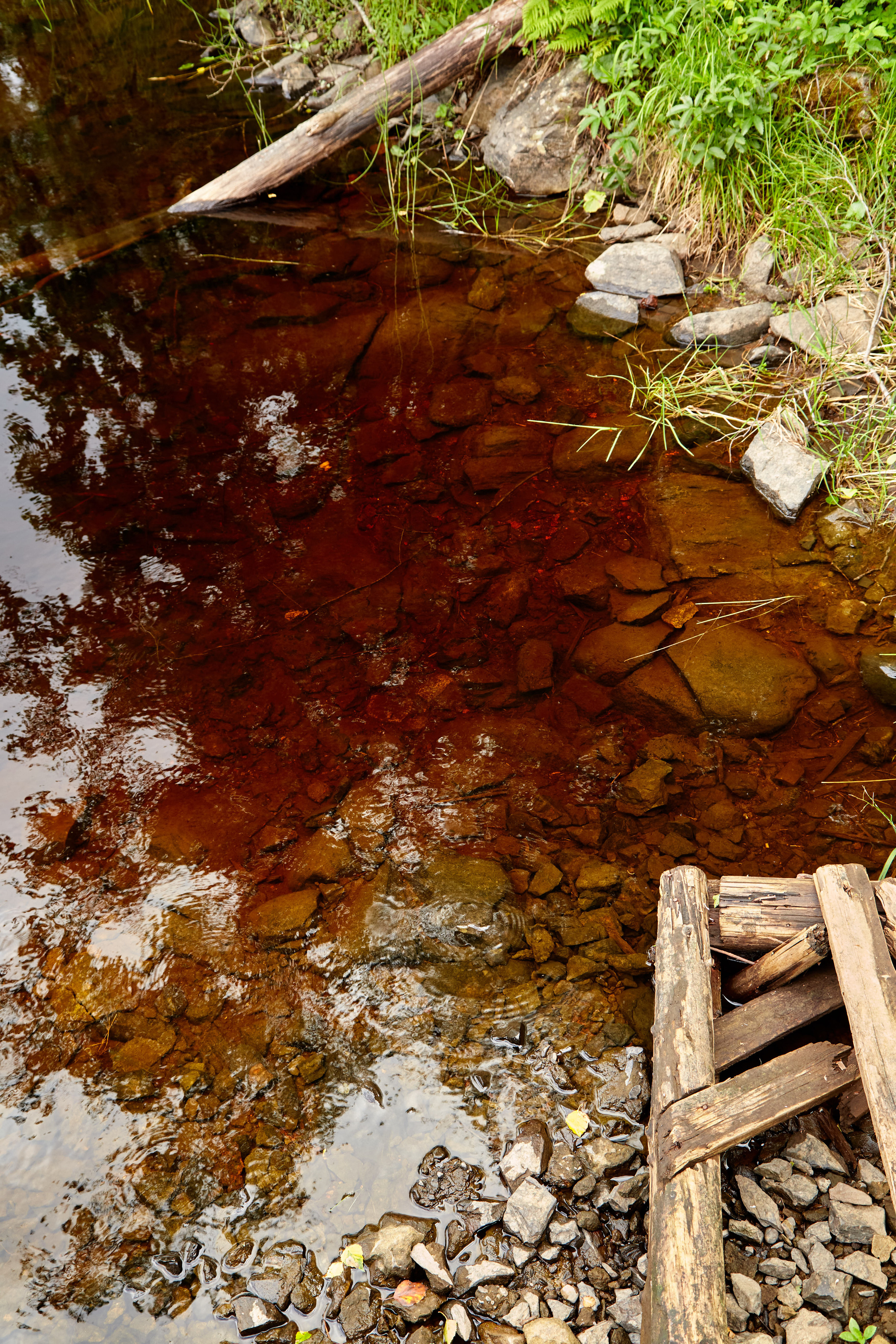 Карелия, золото и мрамор. Креативный фотограф в Москве