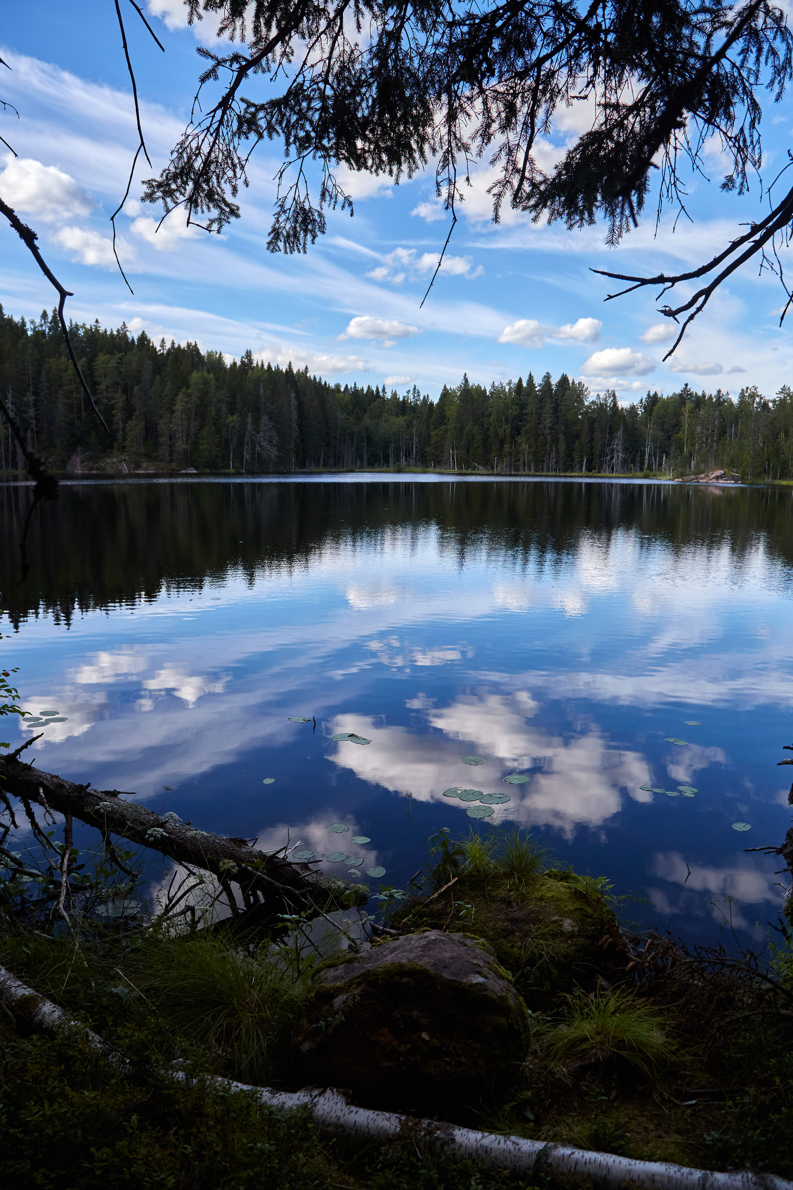 Карелия, золото и мрамор. Креативный фотограф в Москве