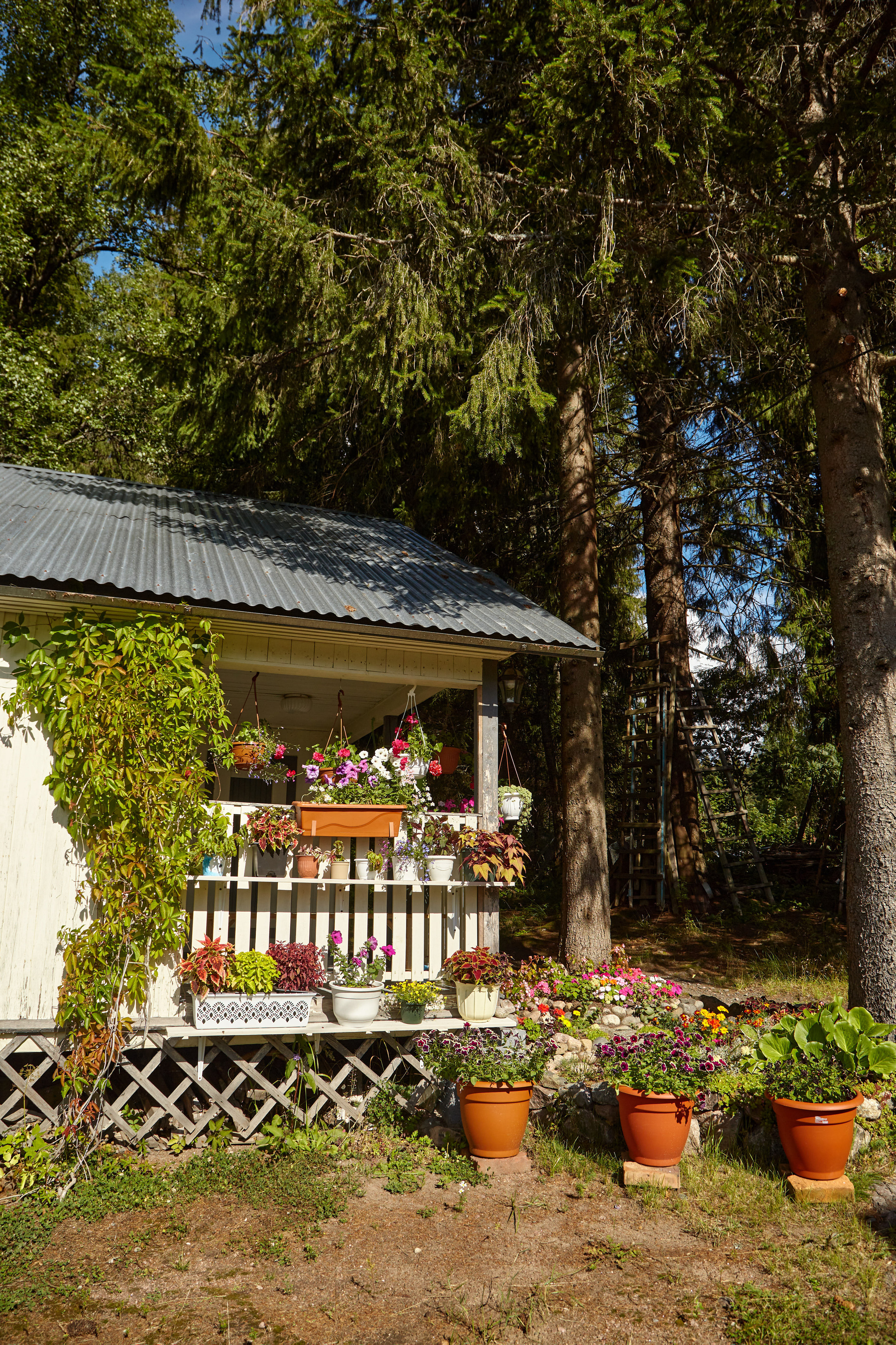 Карелия, золото и мрамор. Креативный фотограф в Москве