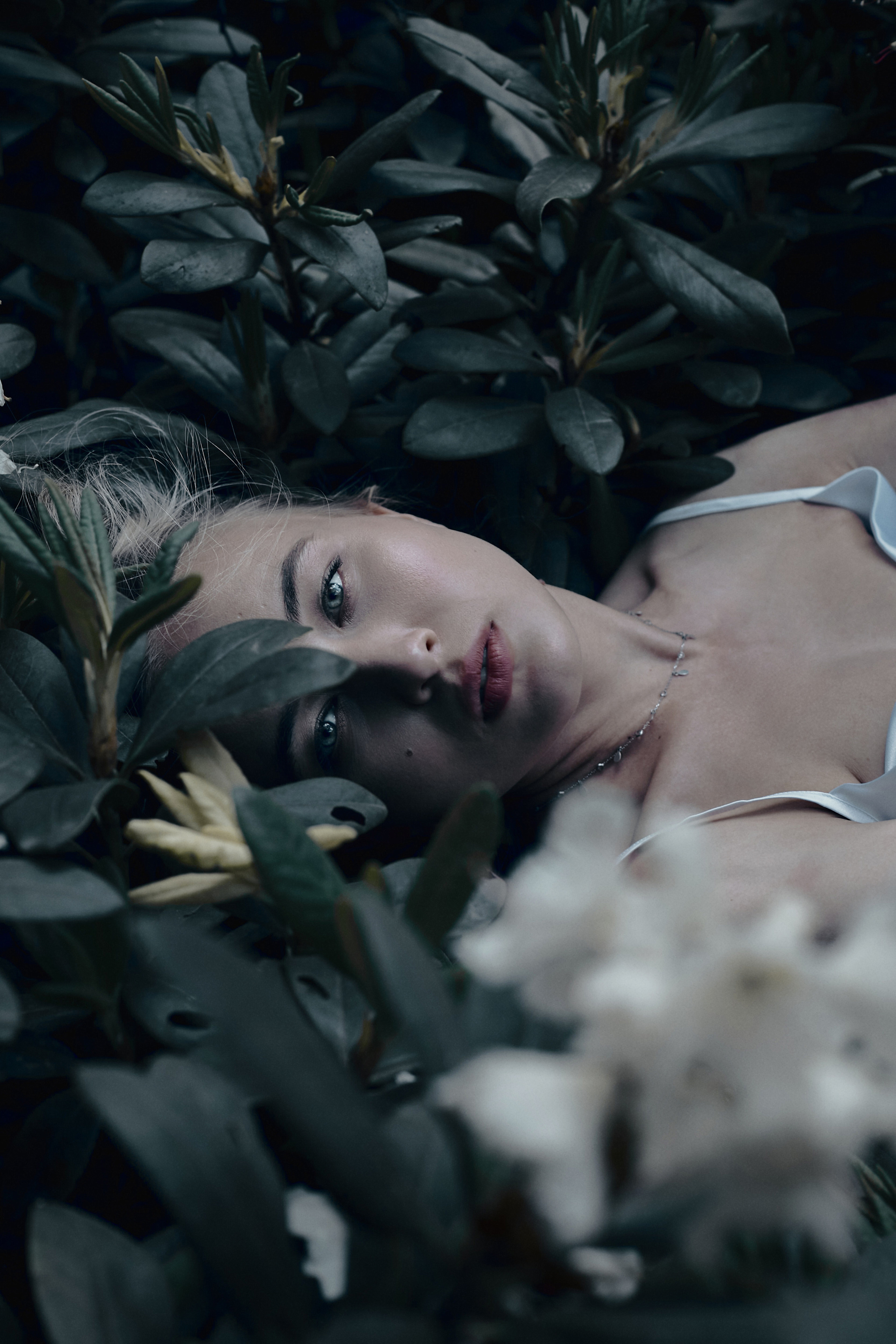 Фотосессия в горах Кабардино-Балкарии. Фотограф Продюсер в горах КБР / Москва  Нальчик Горы